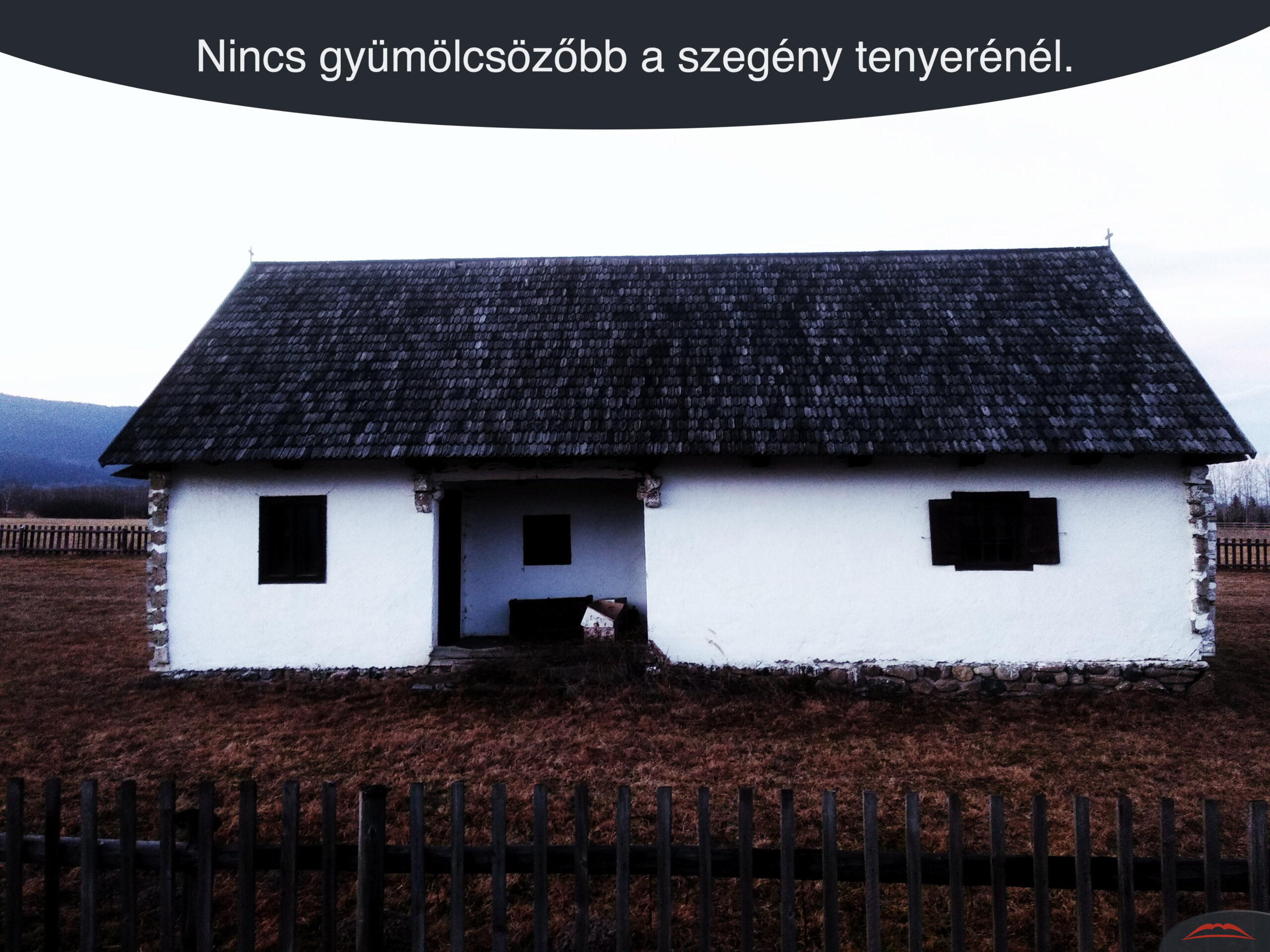 Nincs gyümölcsözőbb a szegény tenyerénél.