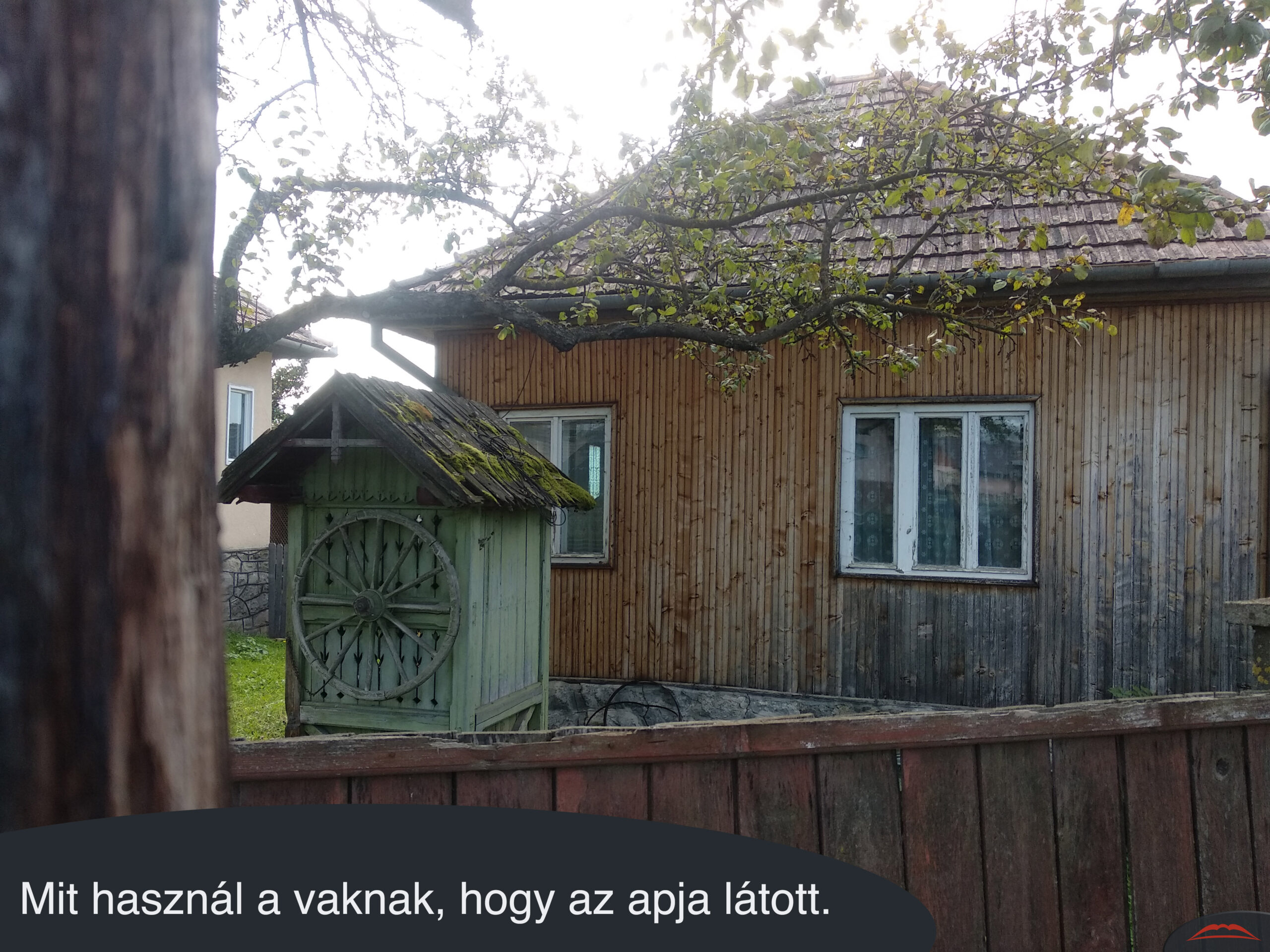 Mit használ a vaknak, hogy az apja látott.