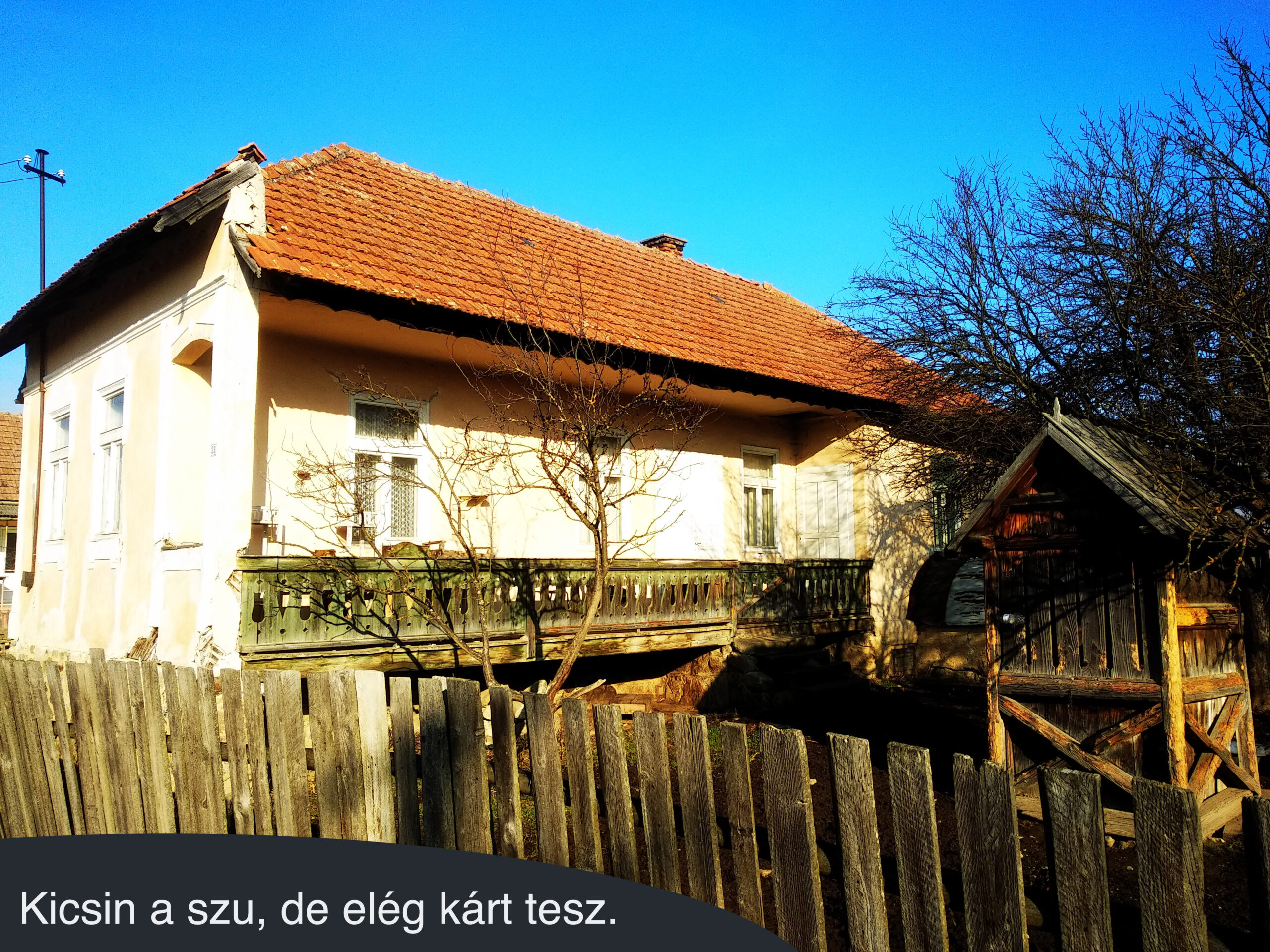 Kicsin a szu, de elég kárt tesz.