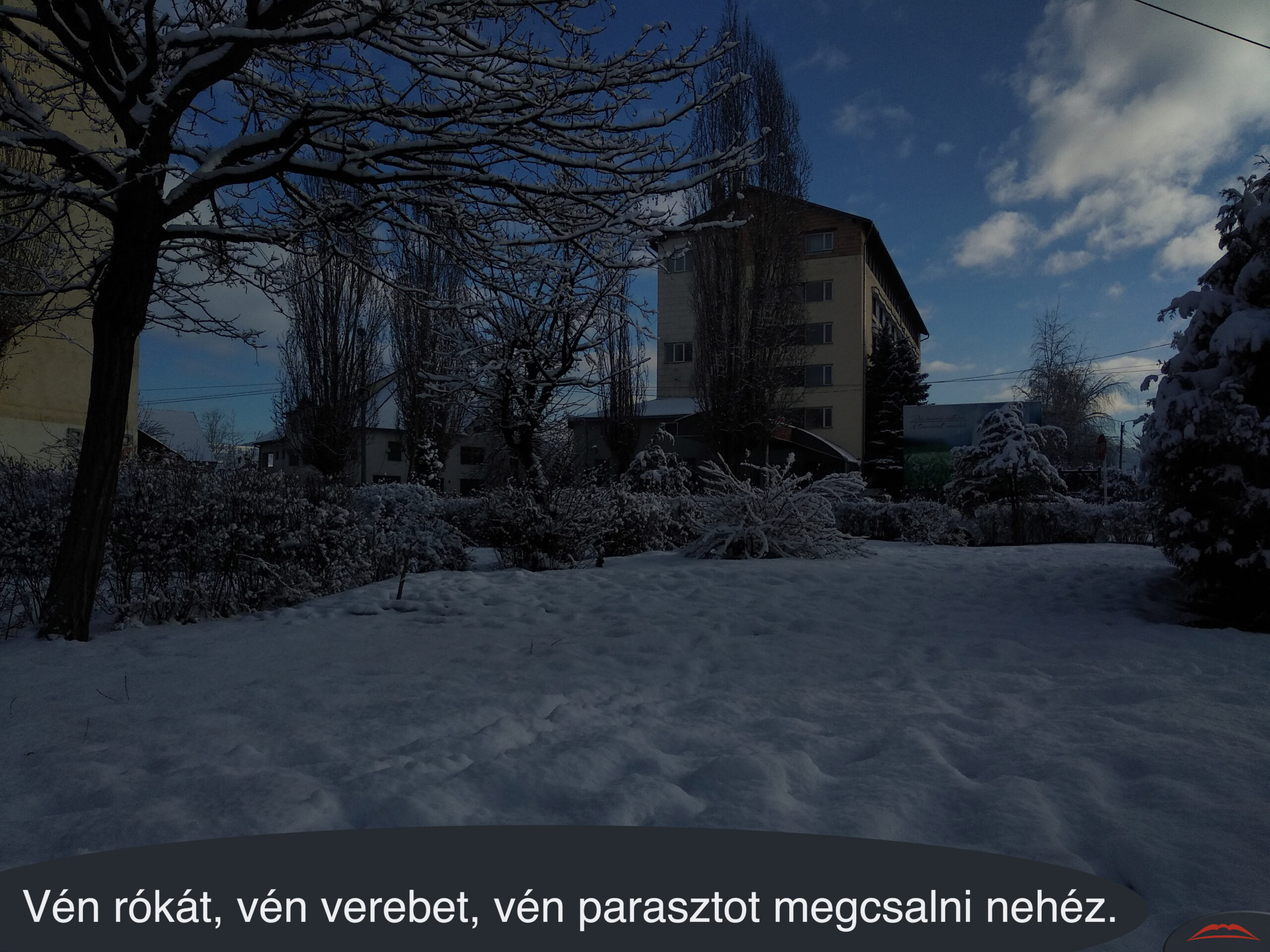 Vén rókát, vén verebet, vén parasztot megcsalni nehéz.