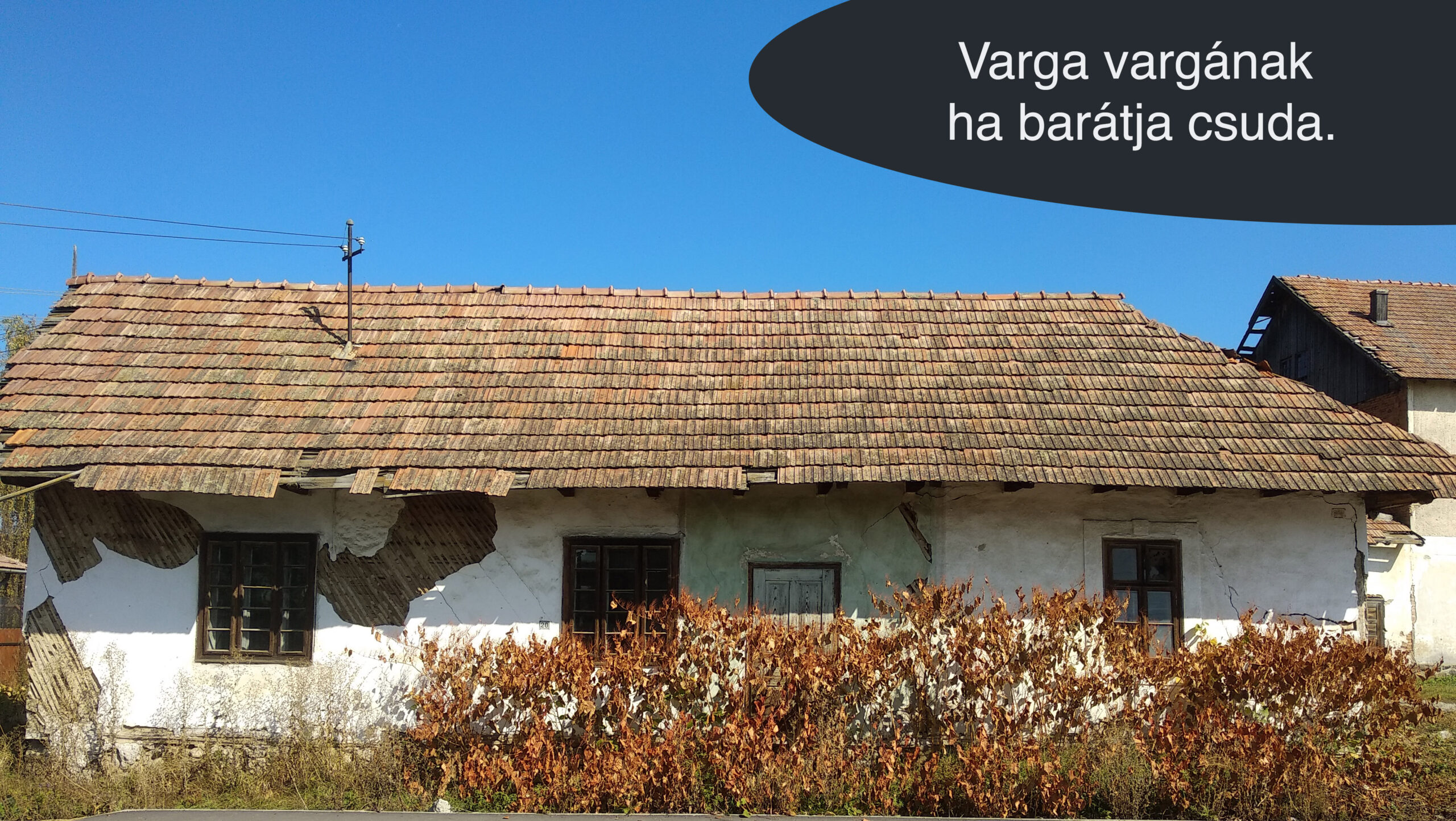 Varga vargának ha barátja csuda.