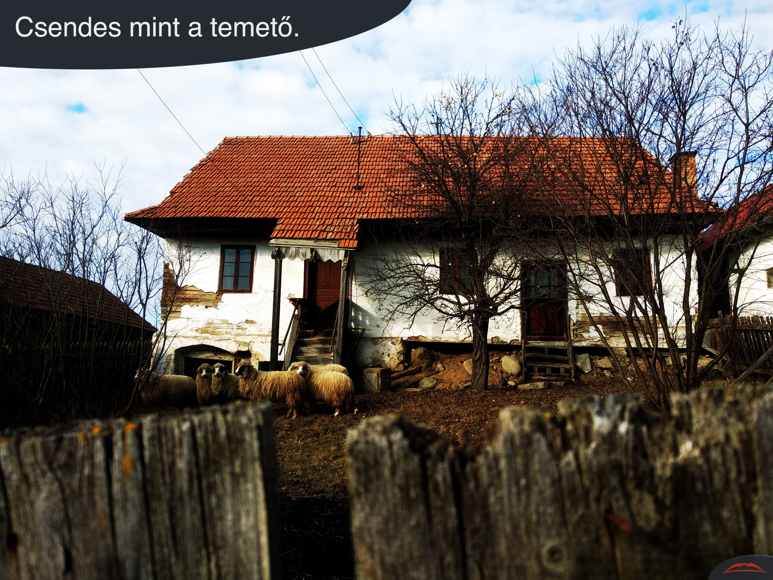 Csendes mint a temető.