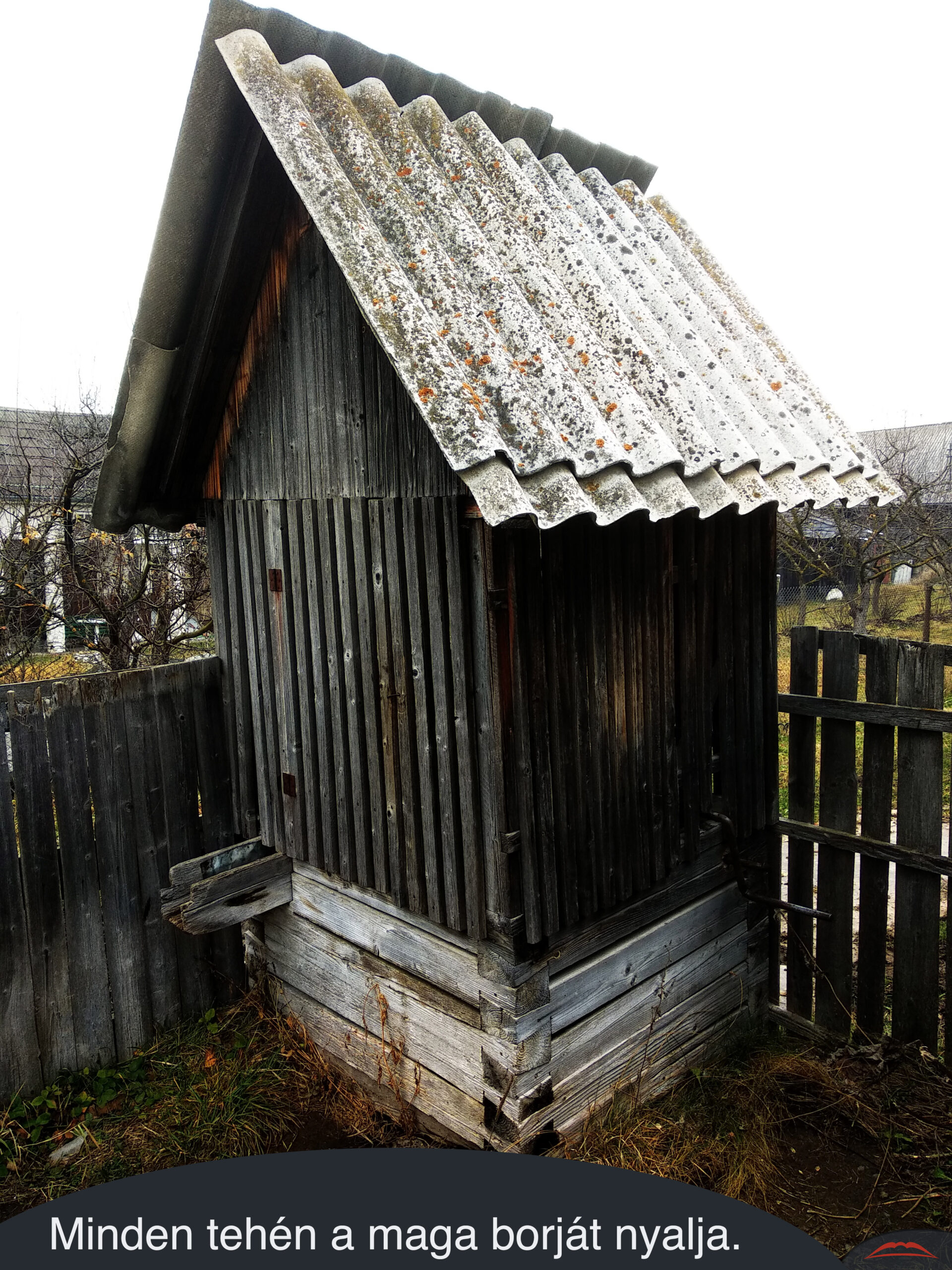 Minden tehén a maga borját nyalja. 