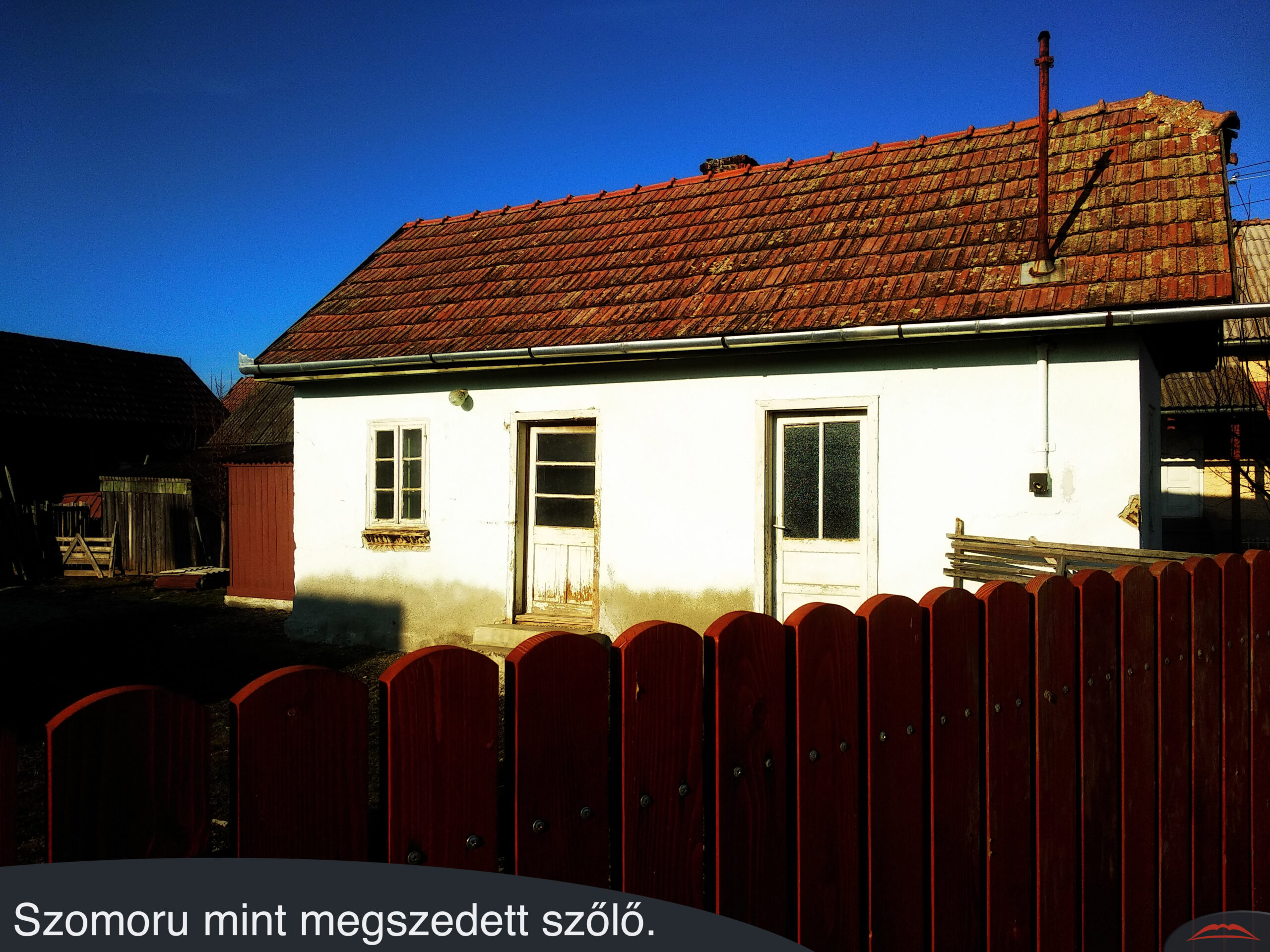 Szomoru mint megszedett szőlő.