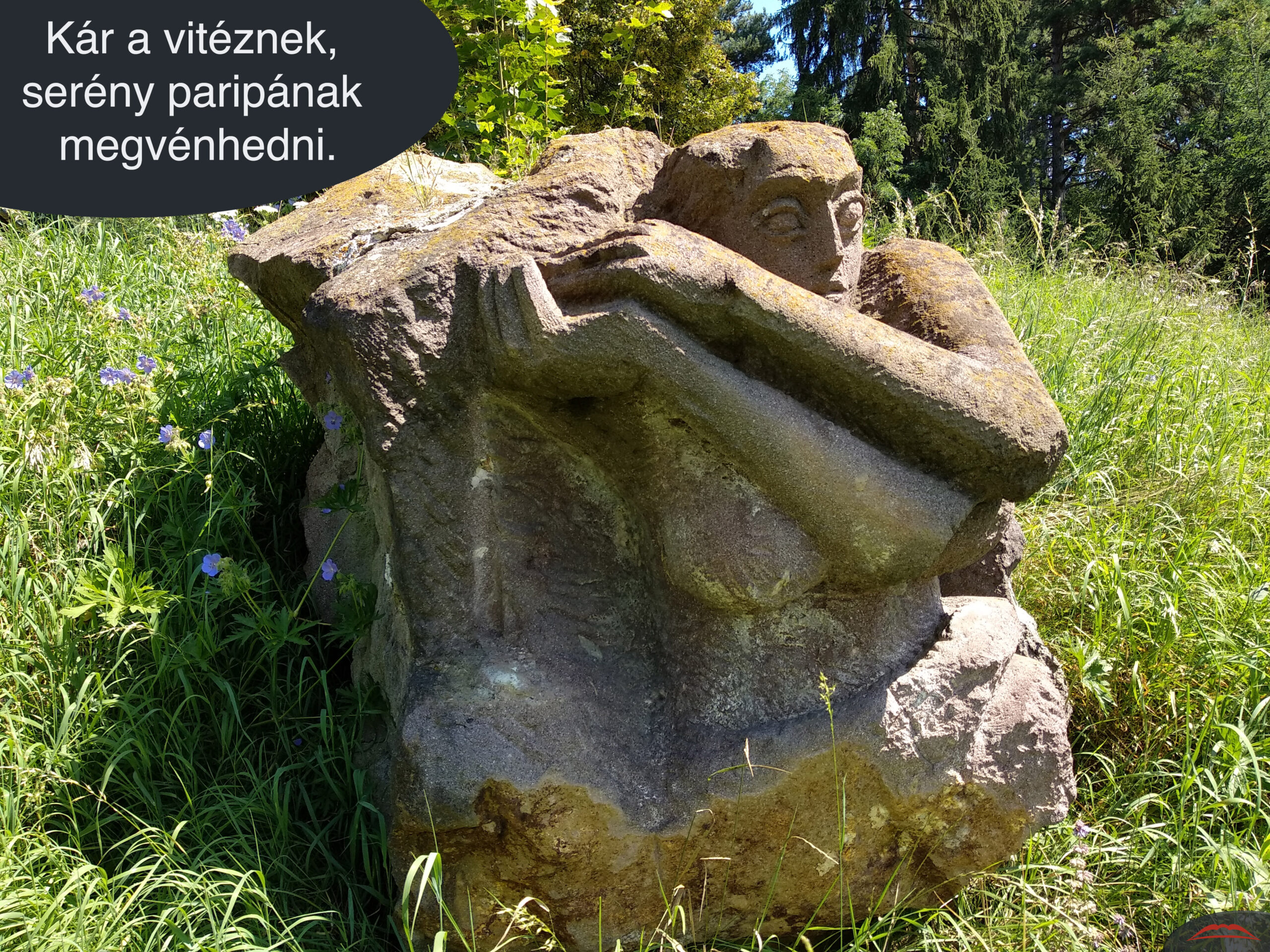 Kár a vitéznek, serény paripának megvénhedni.