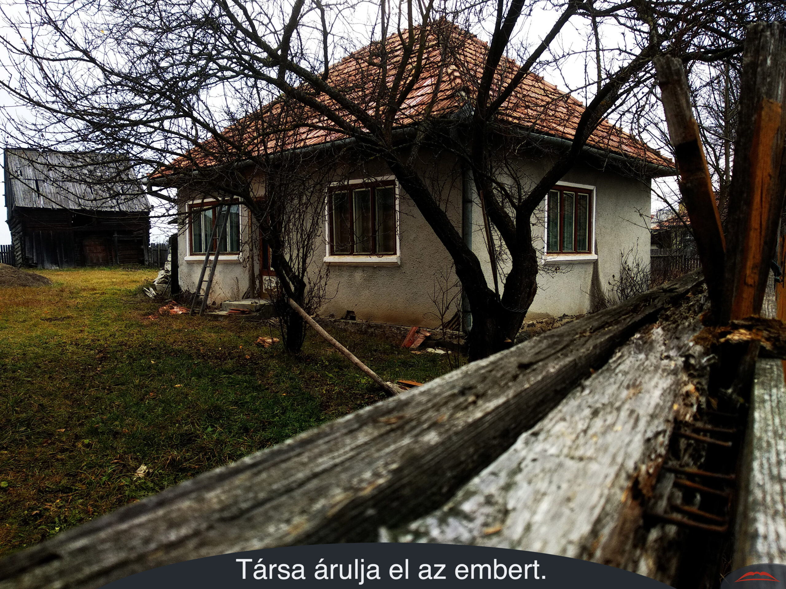 Társa árulja el az embert.