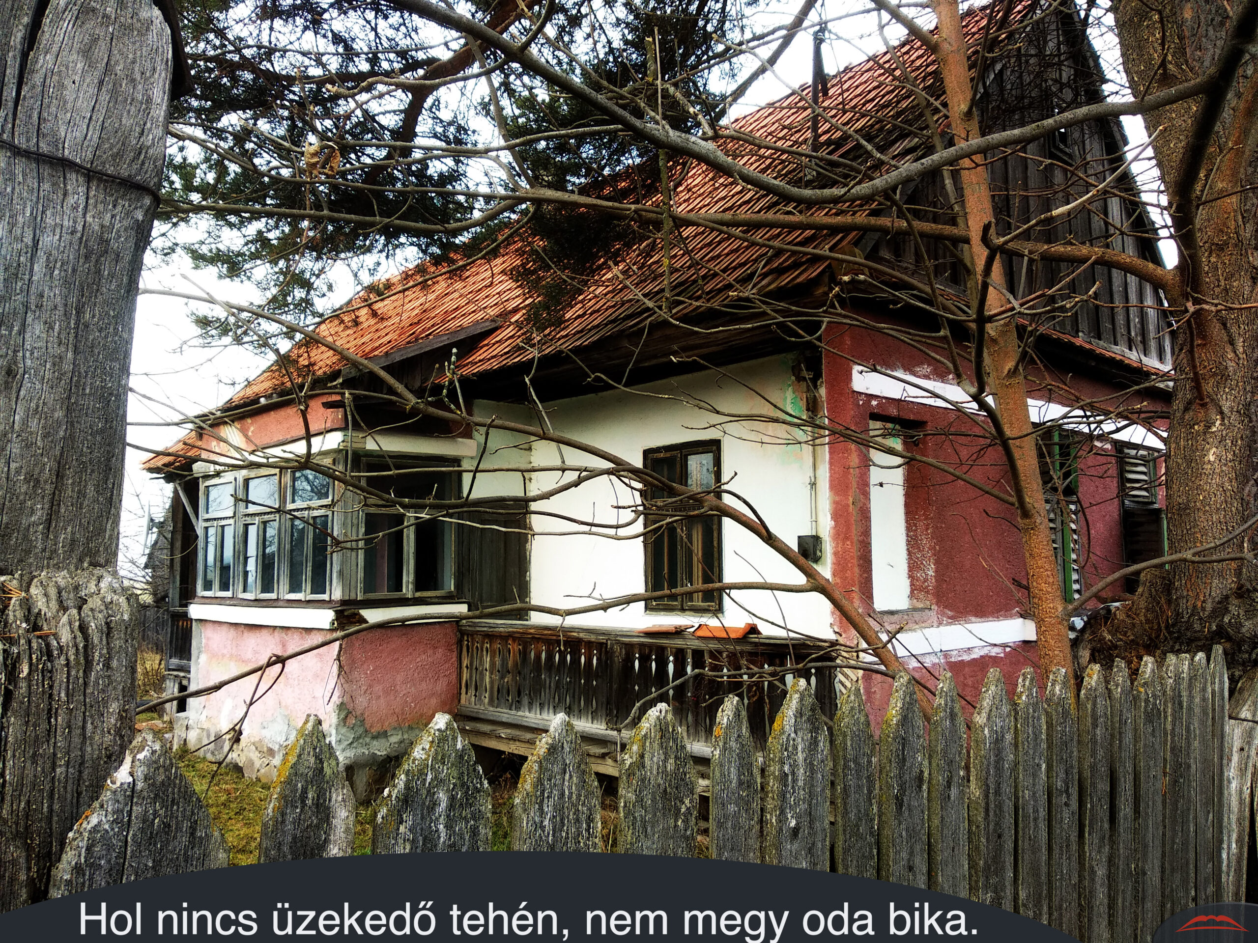 Hol nincs üzekedő tehén, nem megy oda bika.