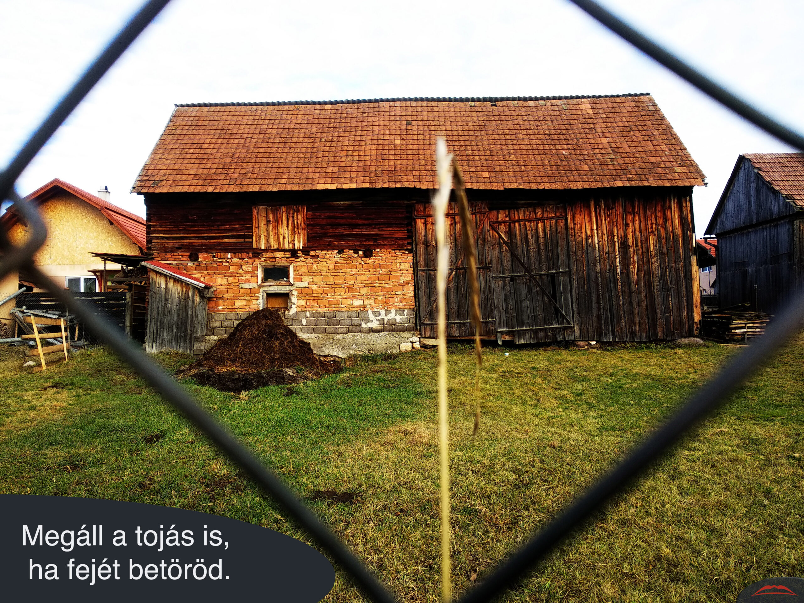 Megáll a tojás is, ha fejét betöröd.