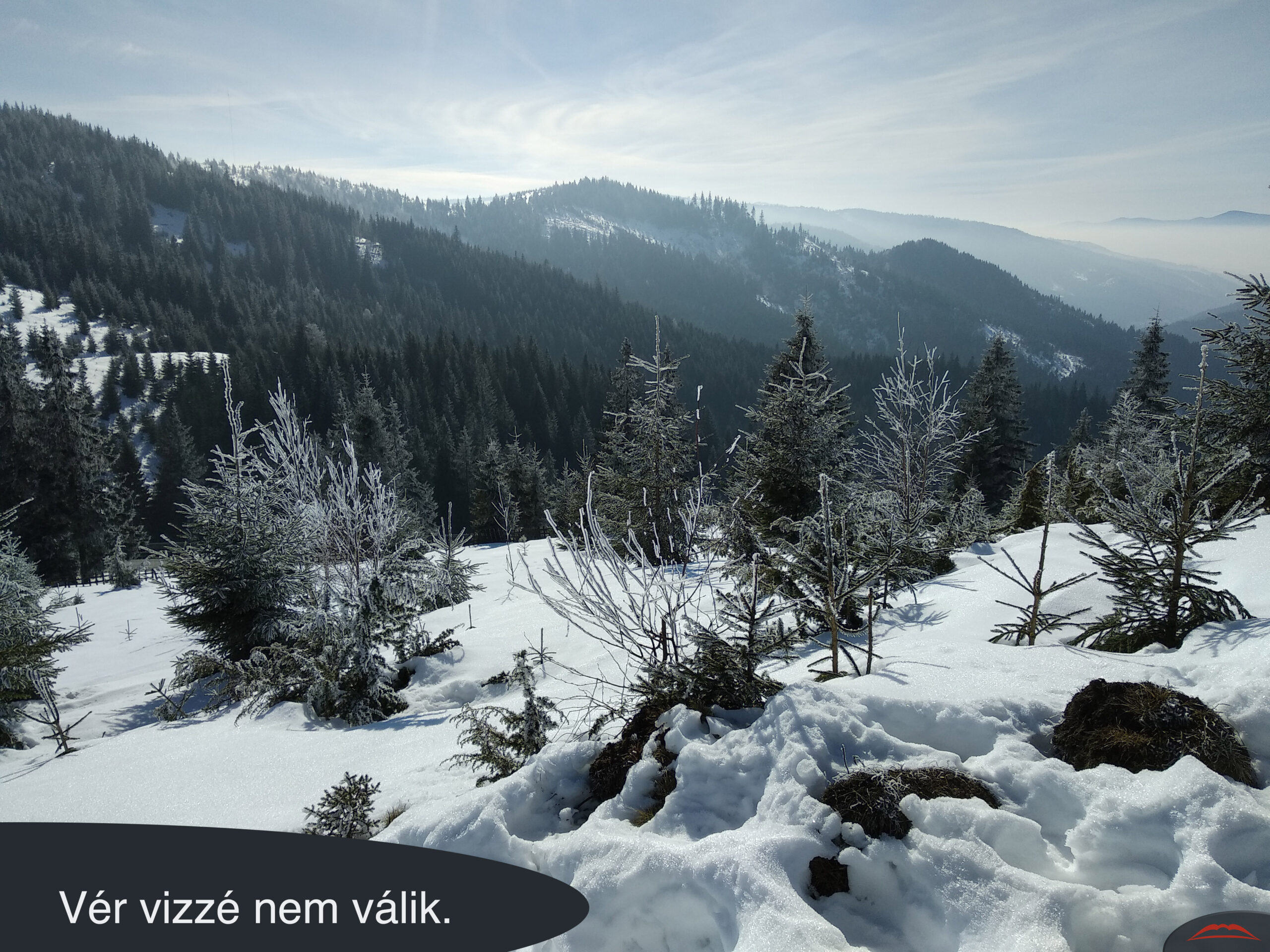 Vér vizzé nem válik.