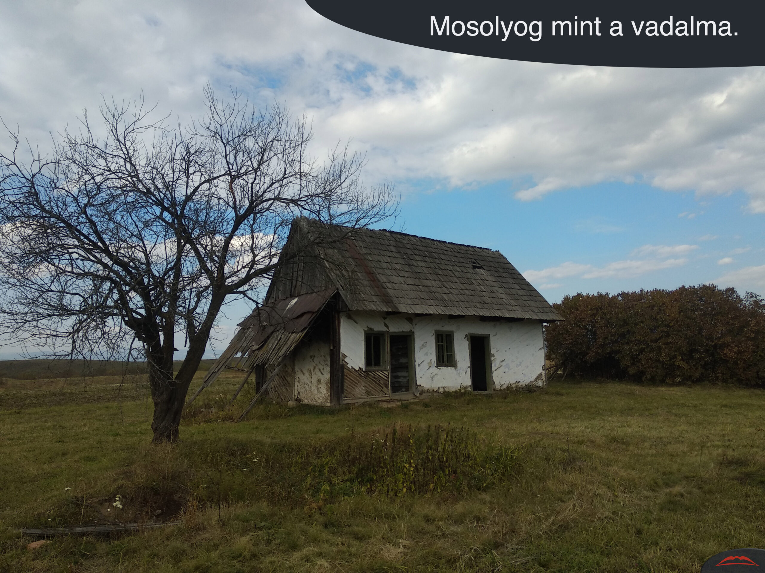 Mosolyog mint a vadalma.