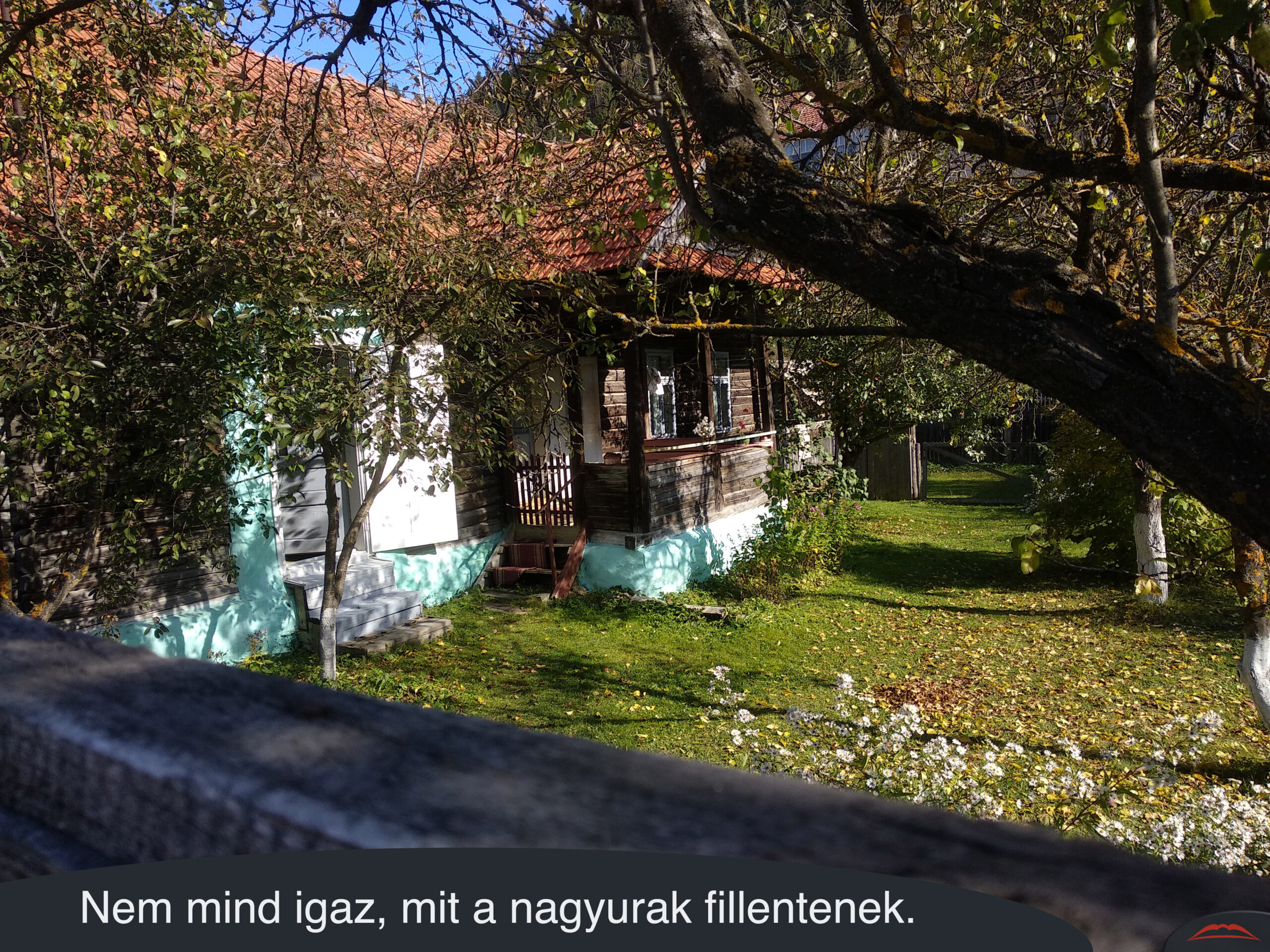 Nem mind igaz, mit a nagyurak fillentenek.