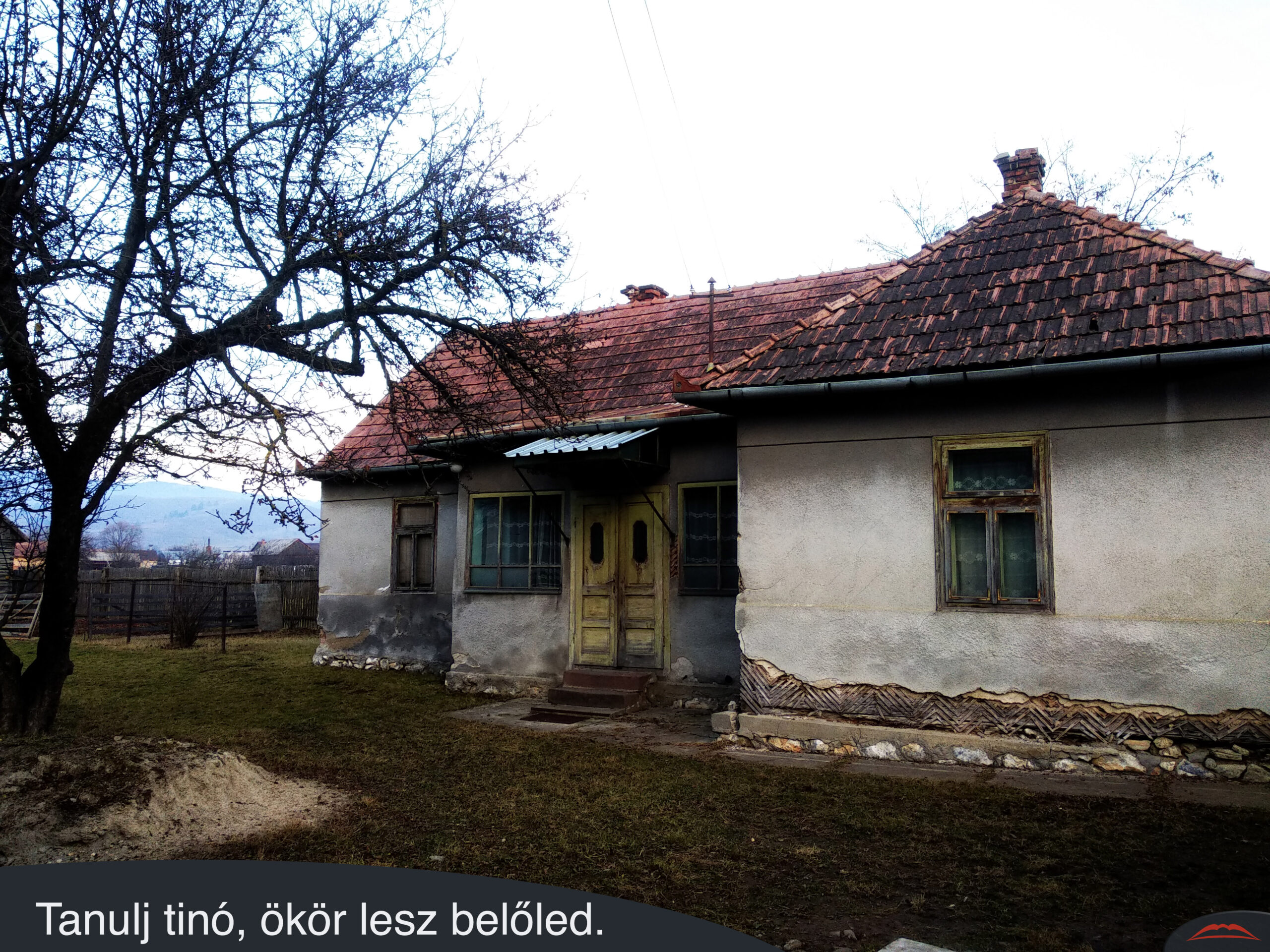 Tanulj tinó, ökör lesz belőled.
