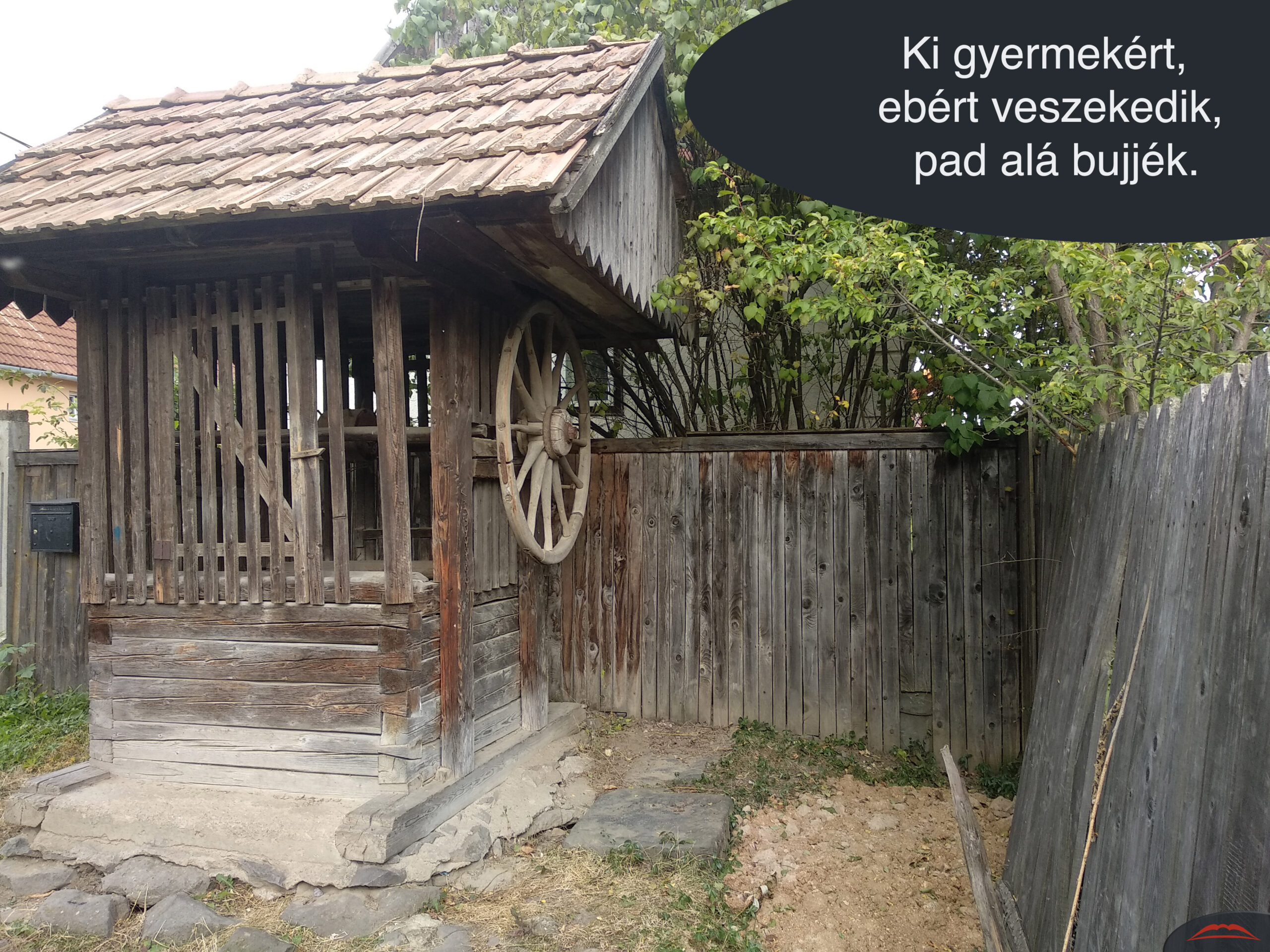 Ki gyermekért, ebért veszekedik, pad alá bujjék.