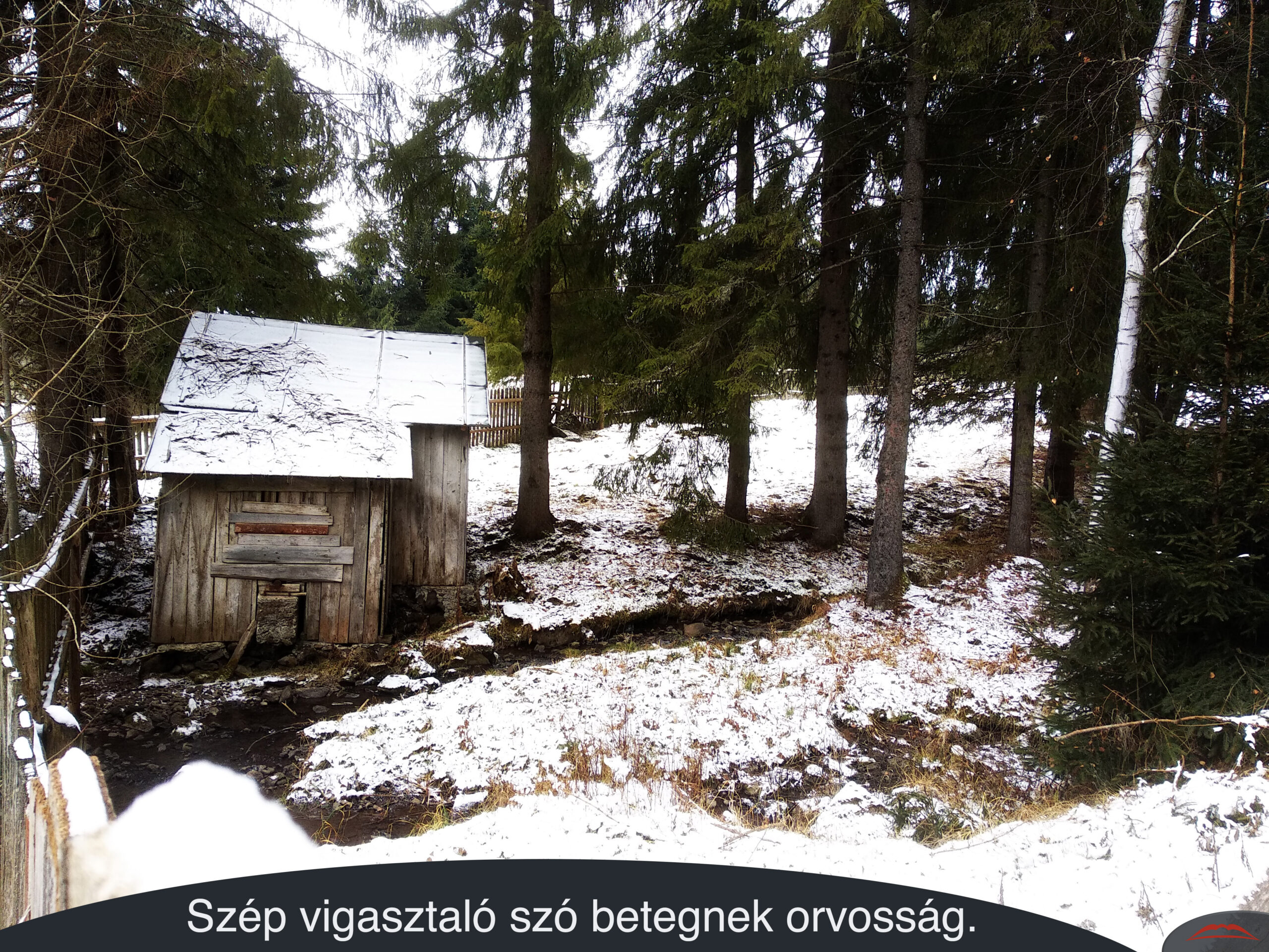 Szép vigasztaló szó betegnek orvosság.