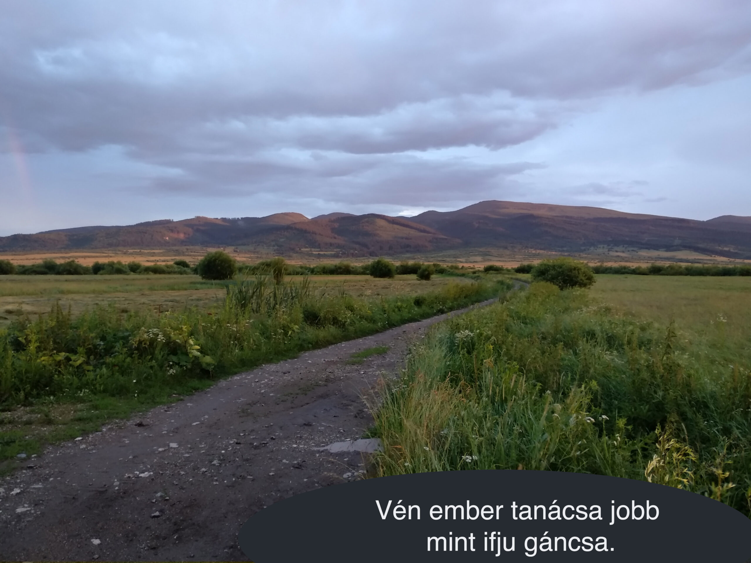 Vén ember tanácsa jobb mint ifju gáncsa.