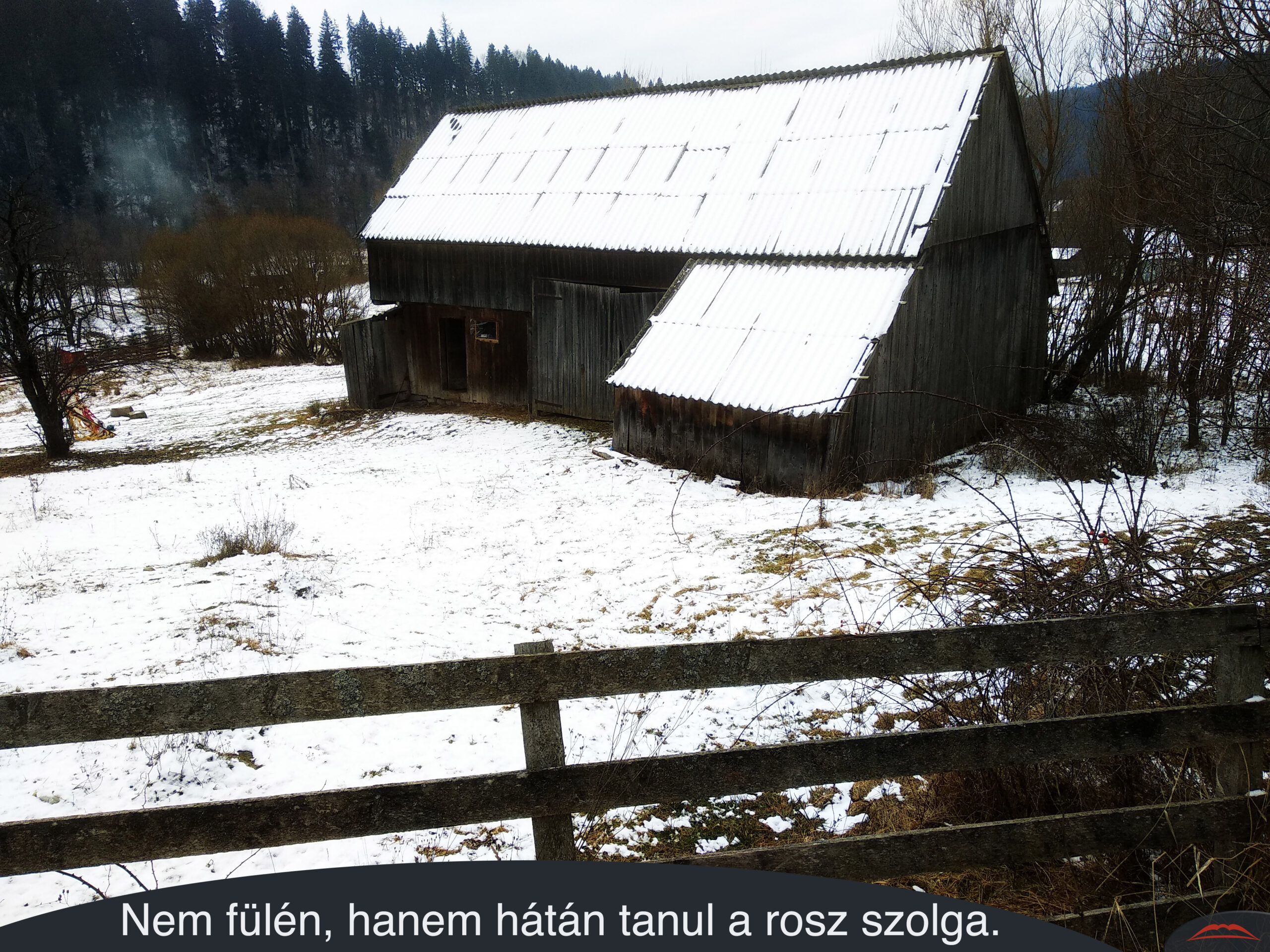 Nem fülén, hanem hátán tanul a rosz szolga.