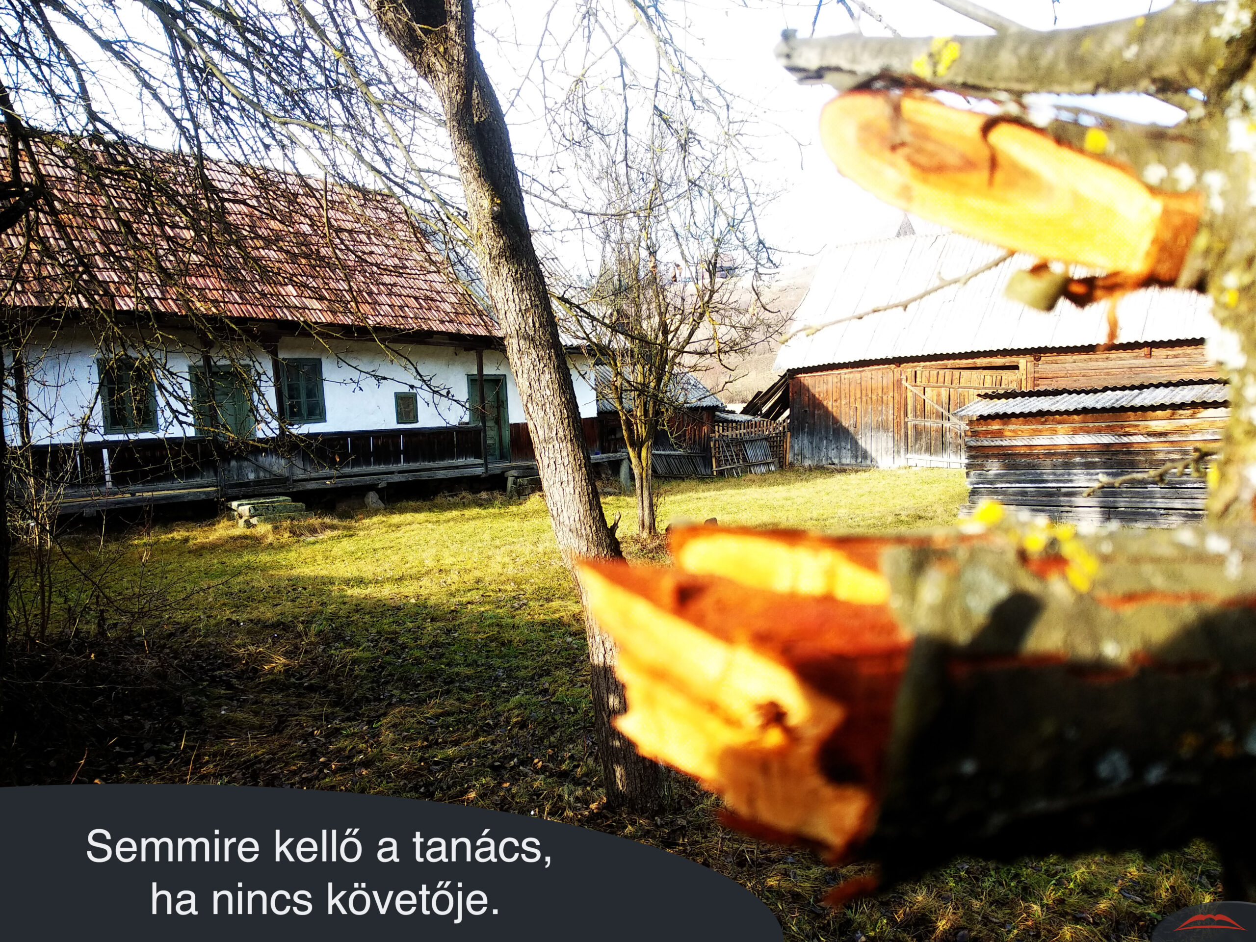 Semmire kellő a tanács, ha nincs követője.