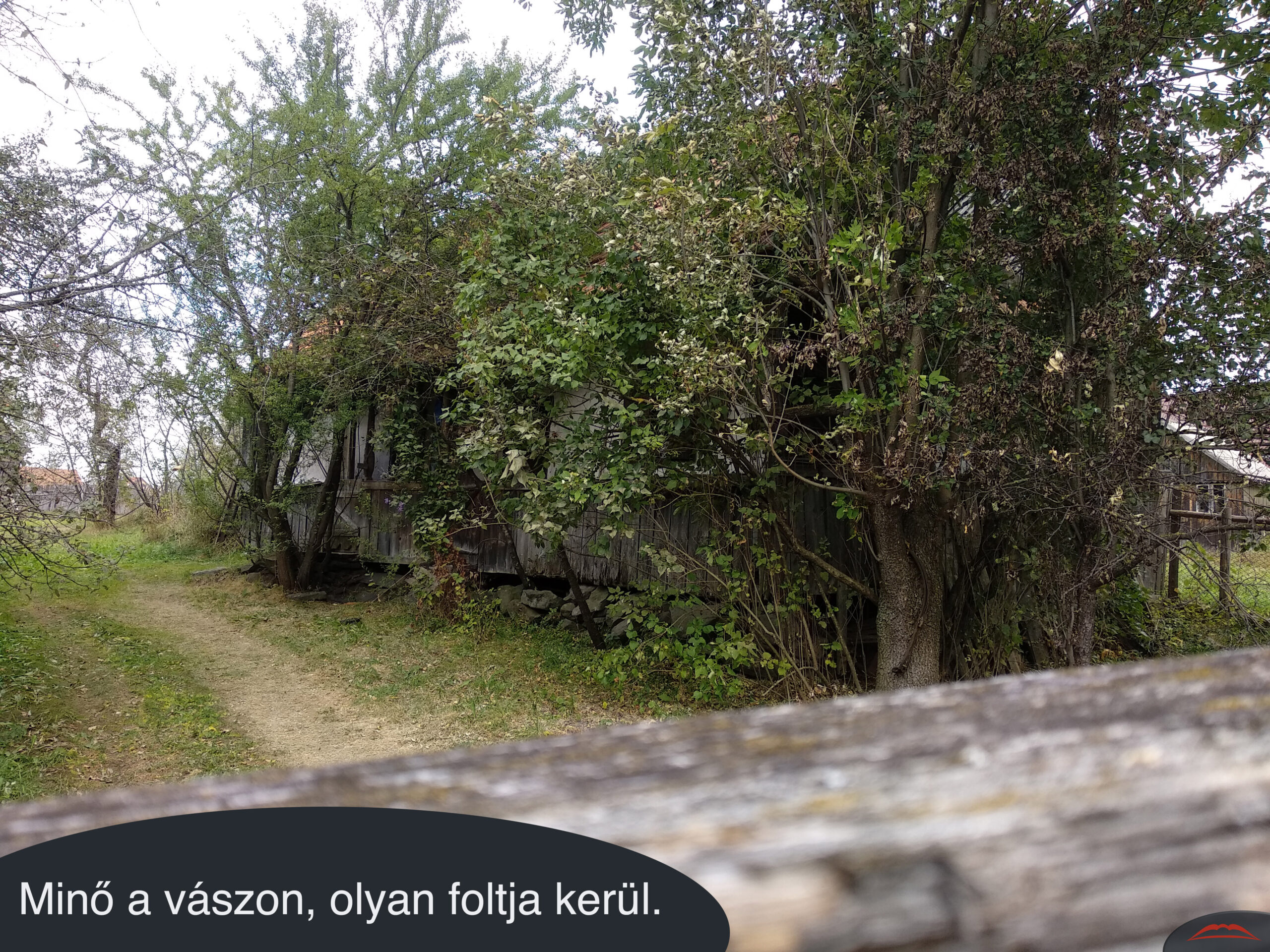 Minő a vászon, olyan foltja kerül.