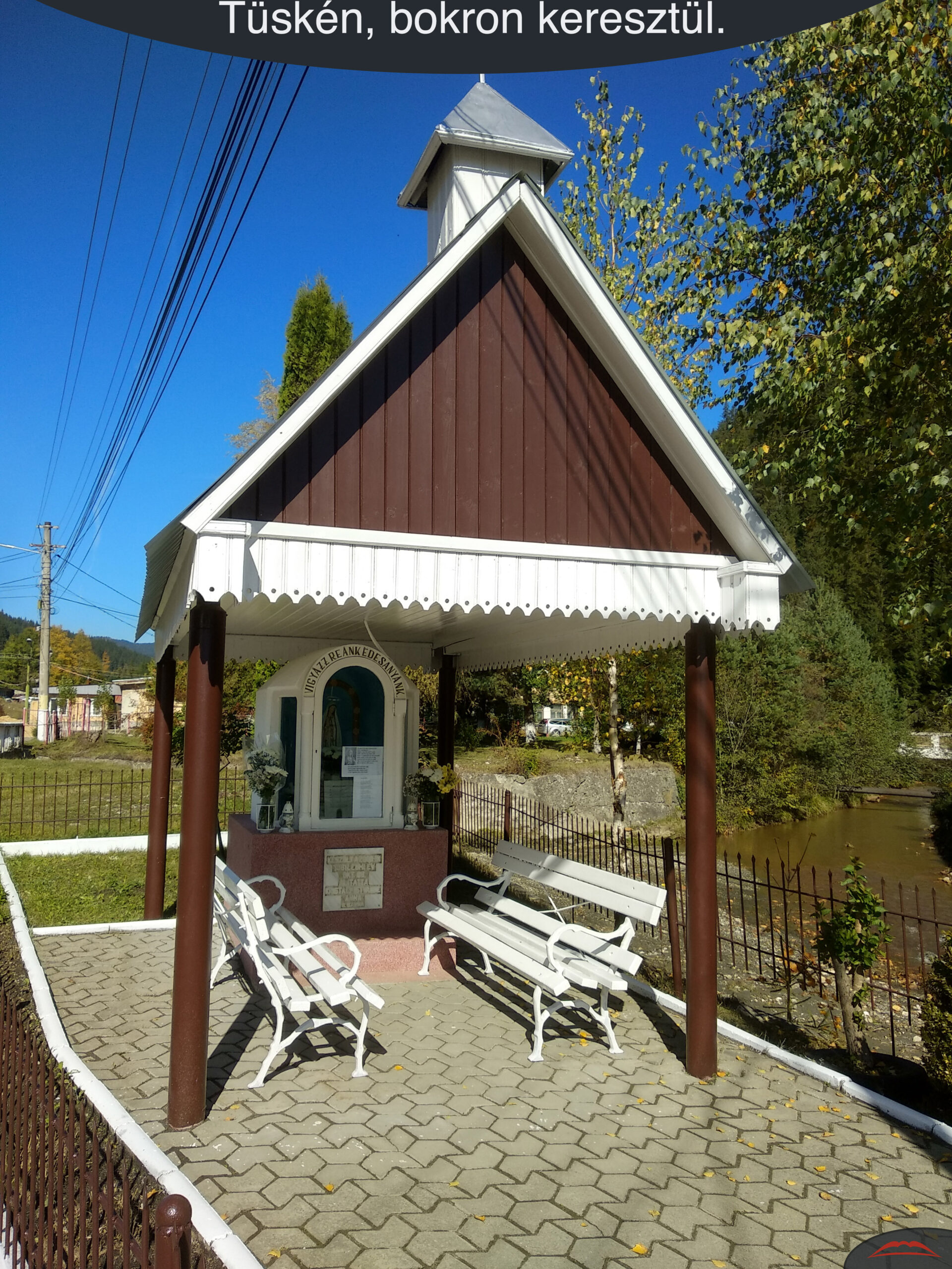 Tüskén, bokron keresztül.