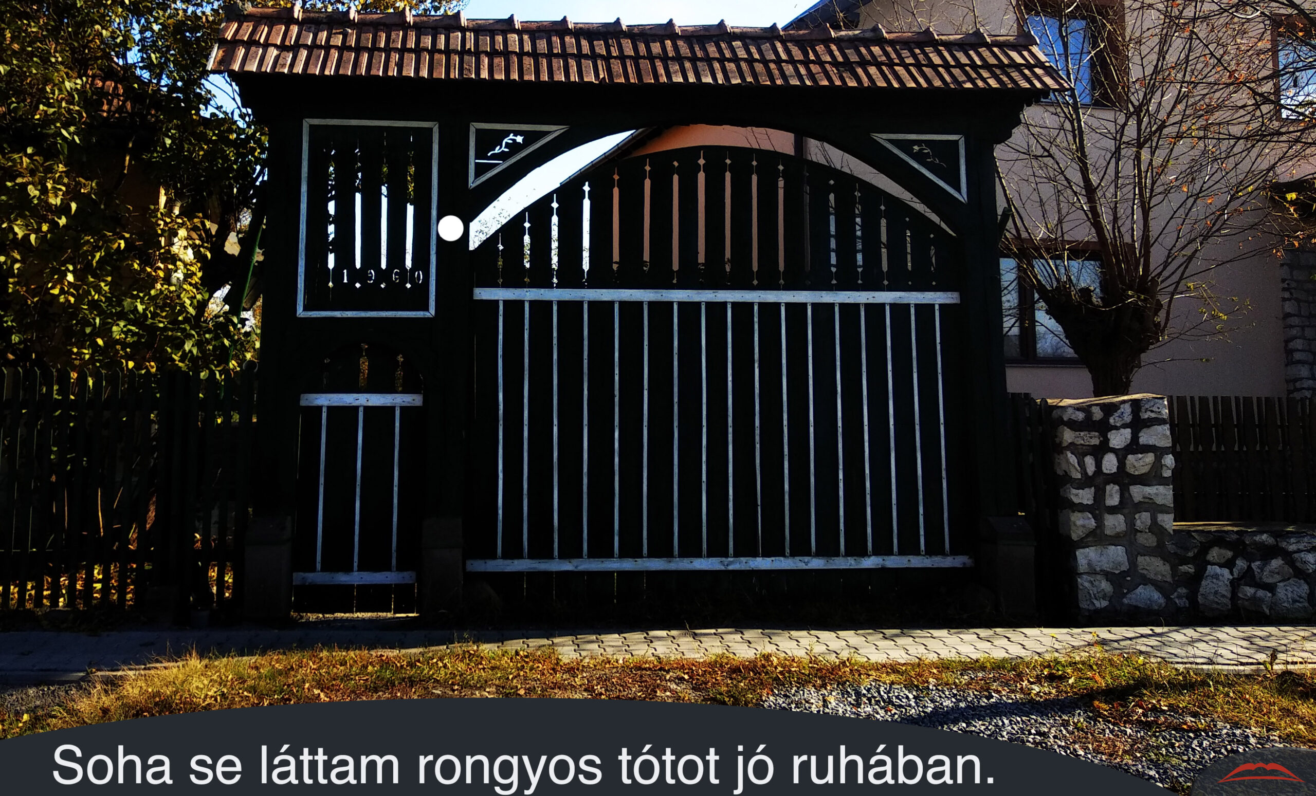 Soha se láttam rongyos tótot jó ruhában.