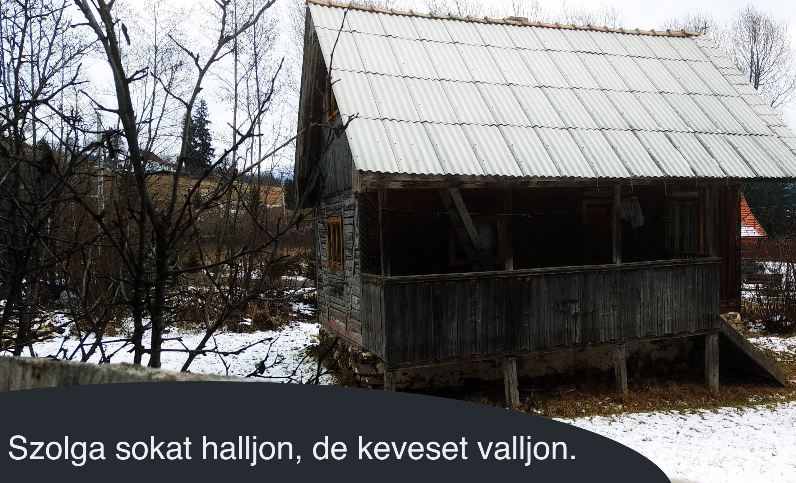 Szolga sokat halljon, de keveset valljon.
