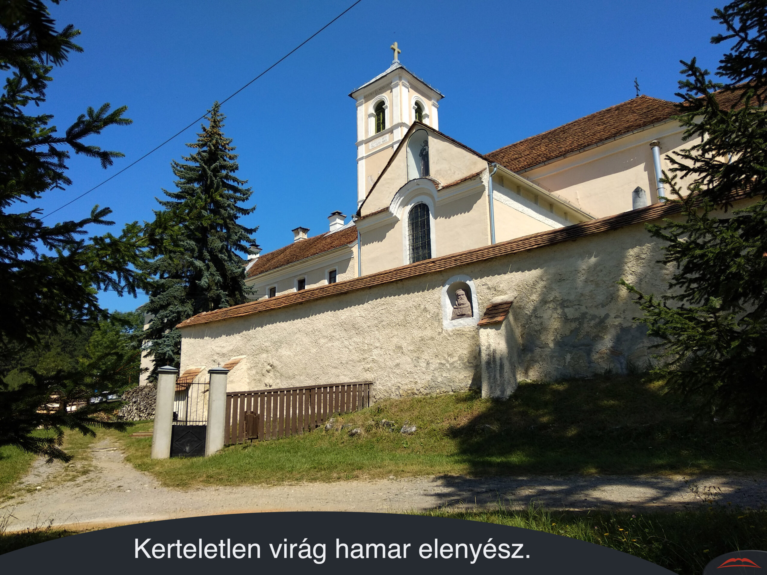 Kerteletlen virág hamar elenyész.