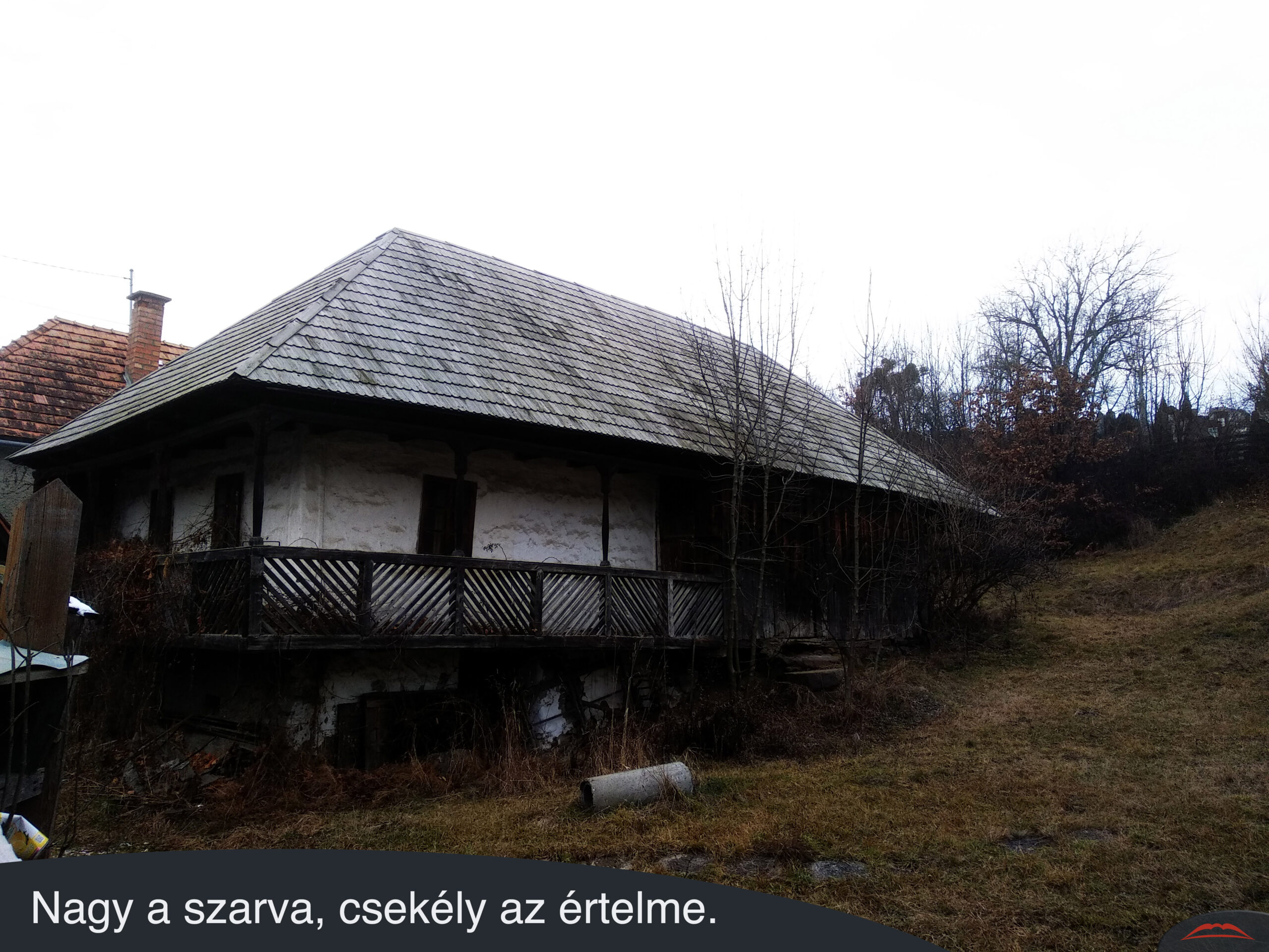 Nagy a szarva, csekély az értelme. 