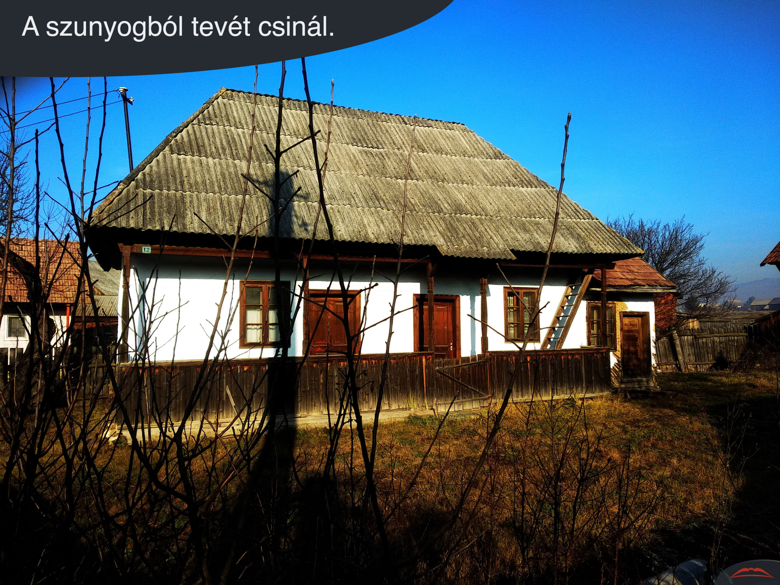 A szunyogból tevét csinál.