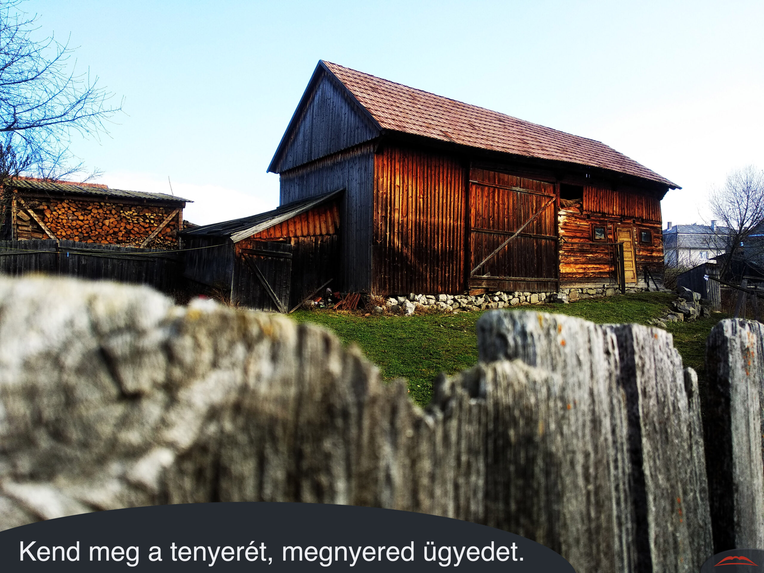 Kend meg a tenyerét, megnyered ügyedet.