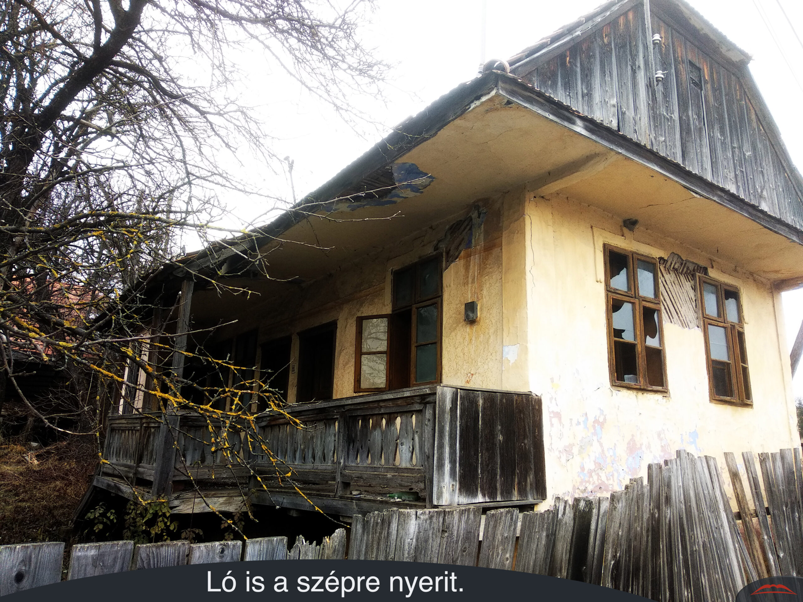 Ló is a szépre nyerit.