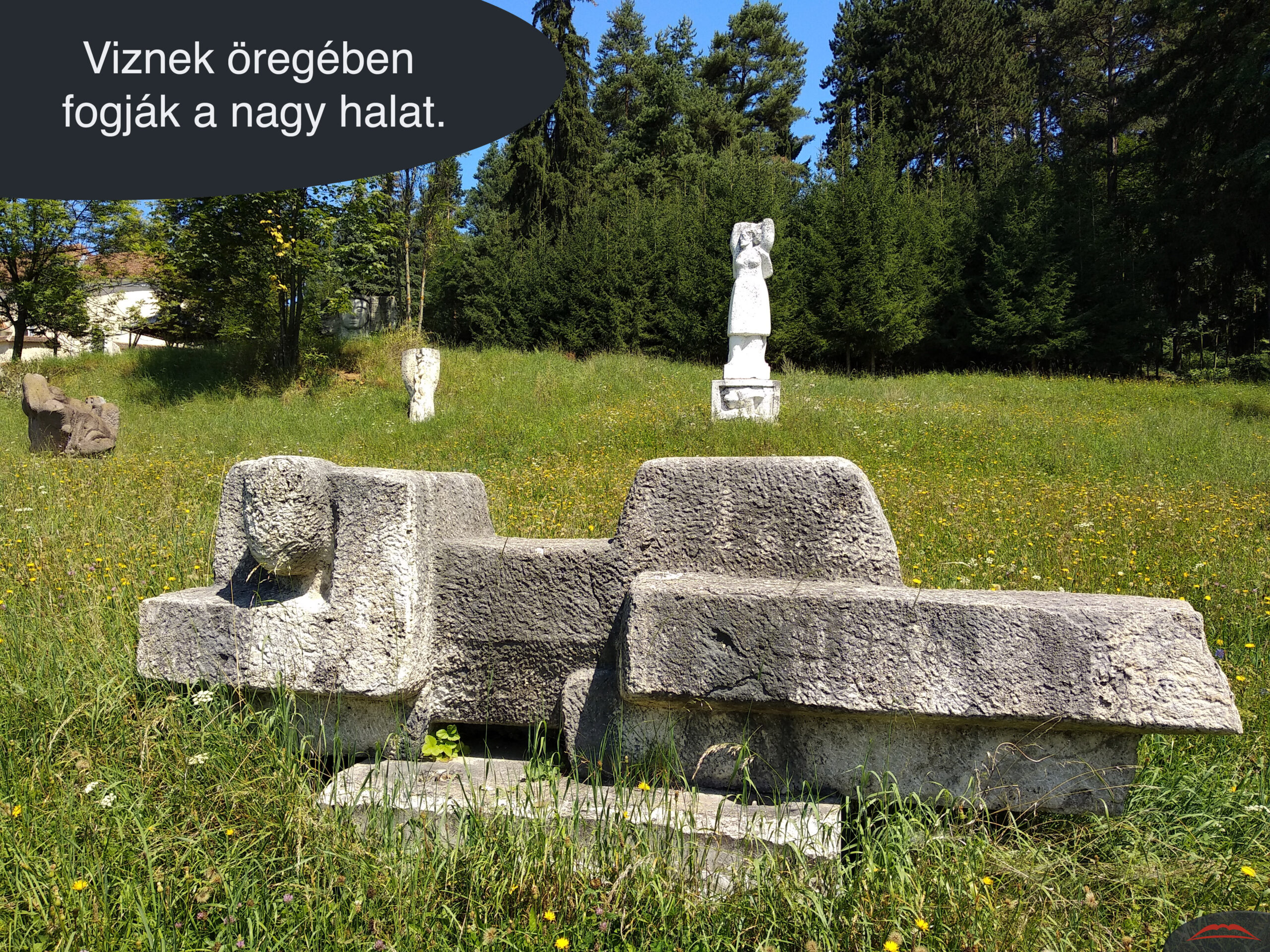 Viznek öregében fogják a nagy halat