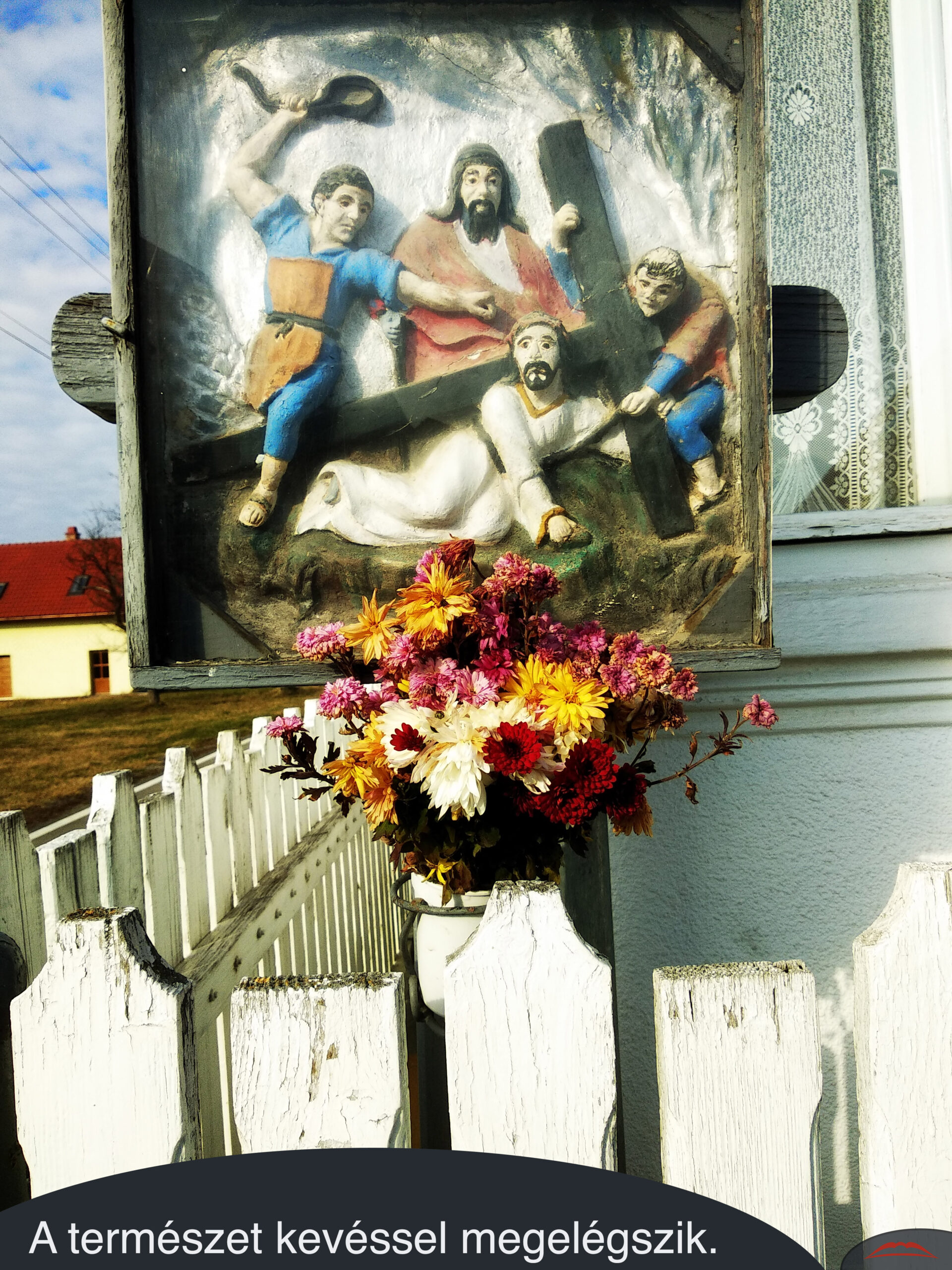 A természet kevéssel megelégszik.