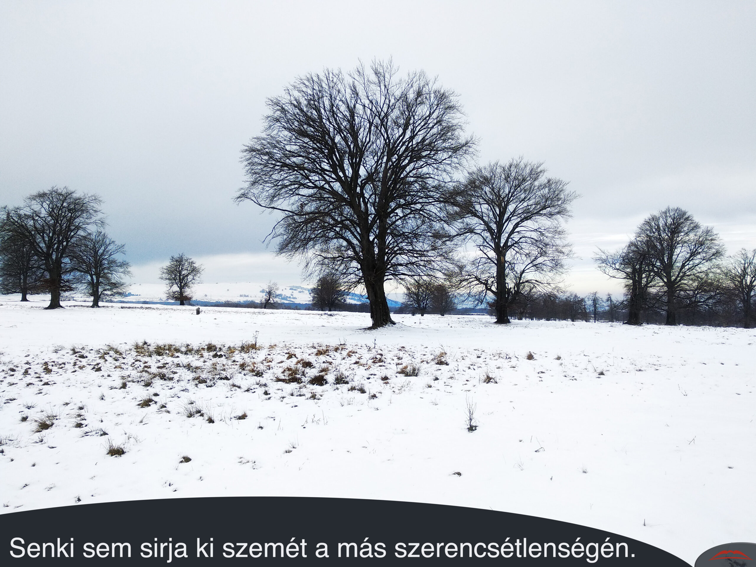 Senki sem sirja ki szemét a más szerencsétlenségén.