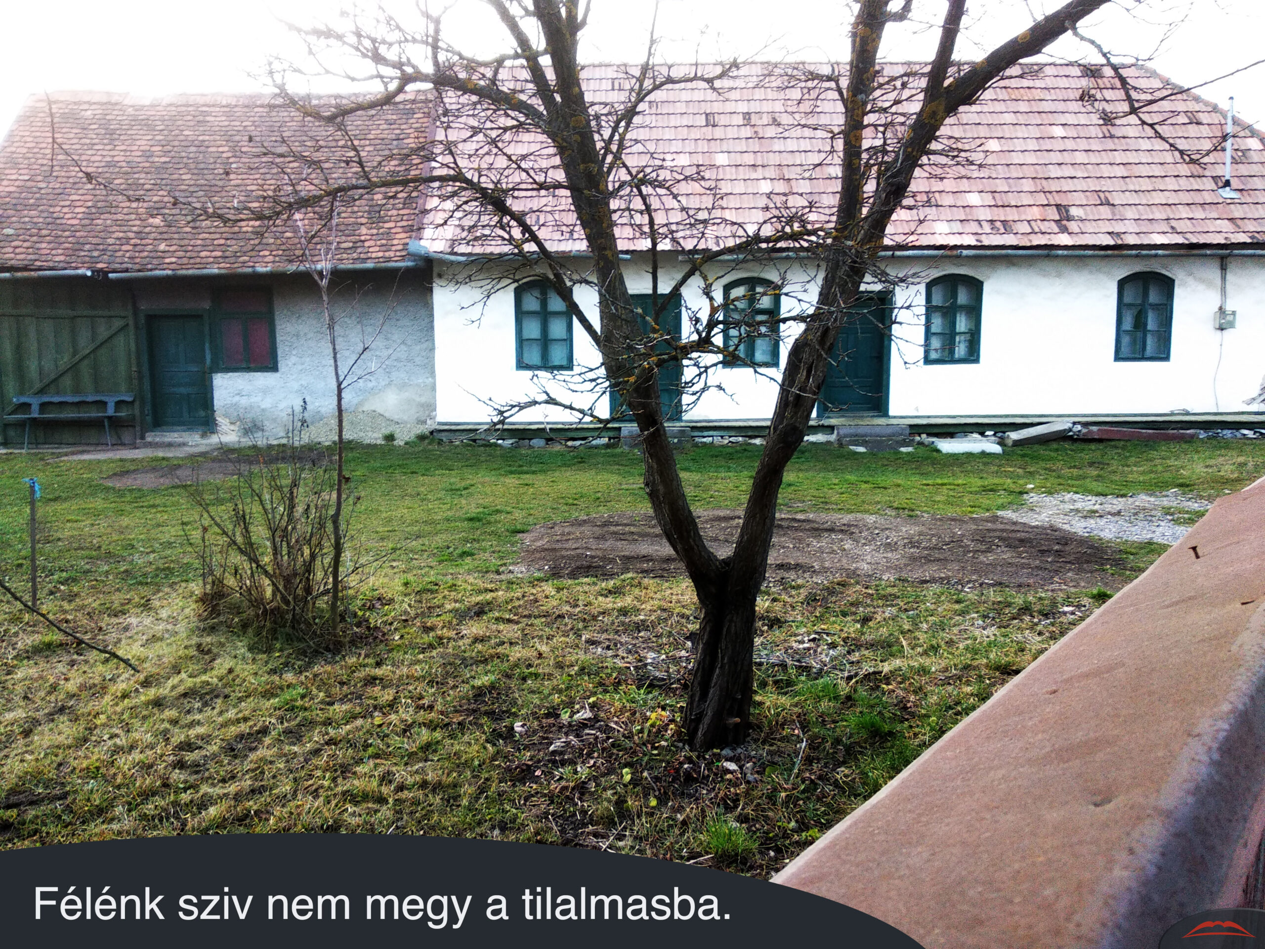 Félénk sziv nem megy a tilalmasba.