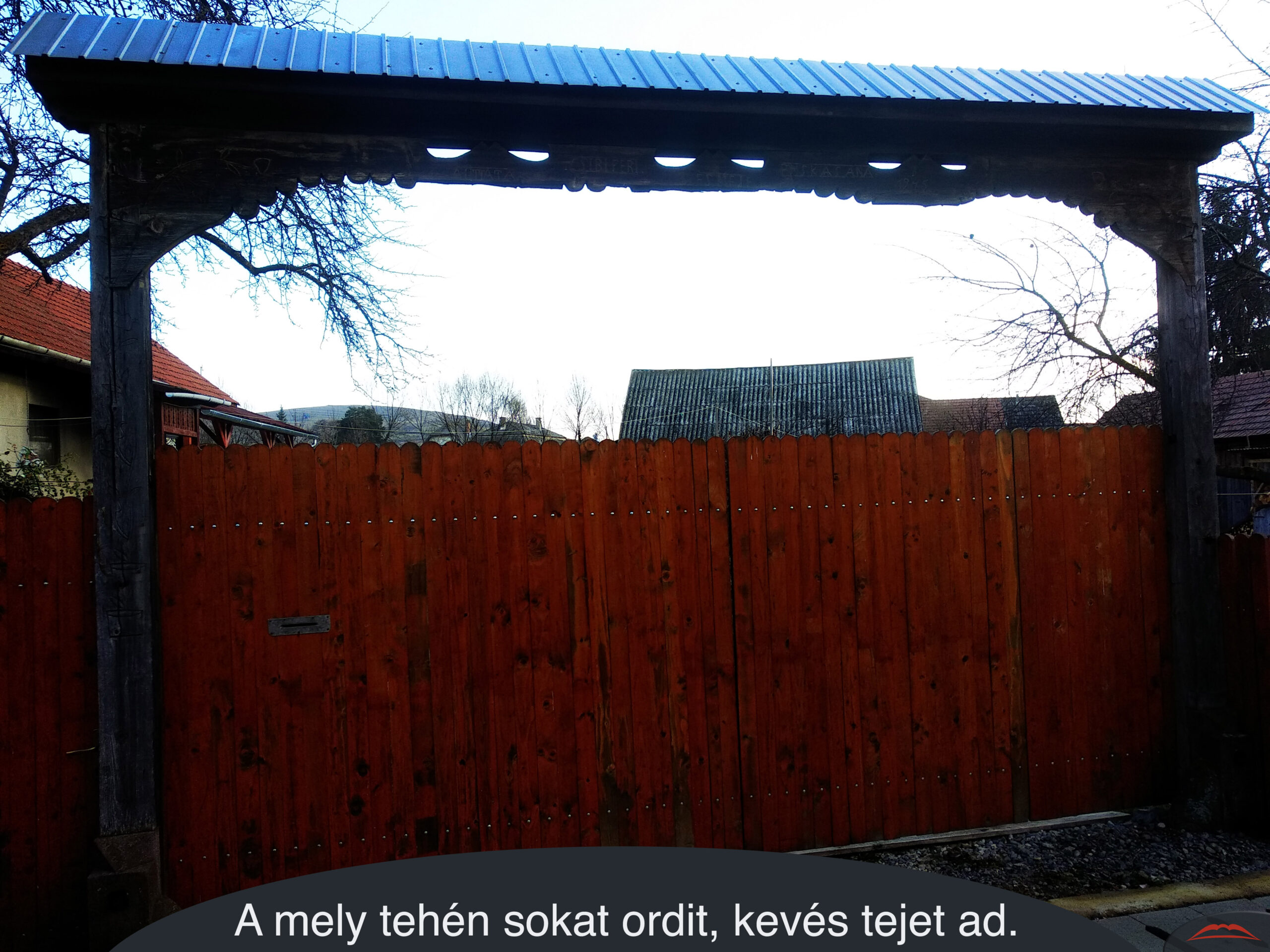 A mely tehén sokat ordit, kevés tejet ad.