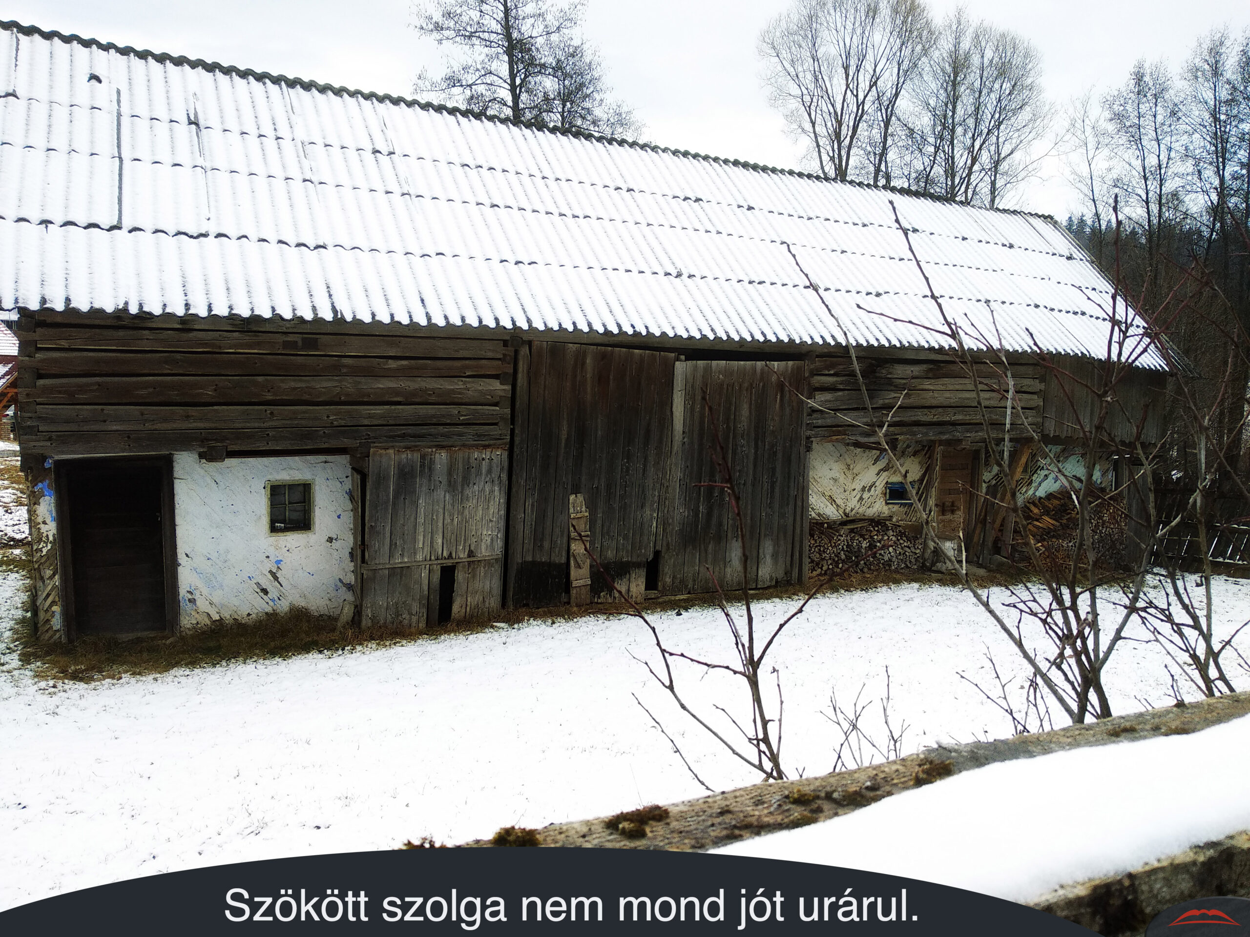 Szökött szolga nem mond jót urárul.