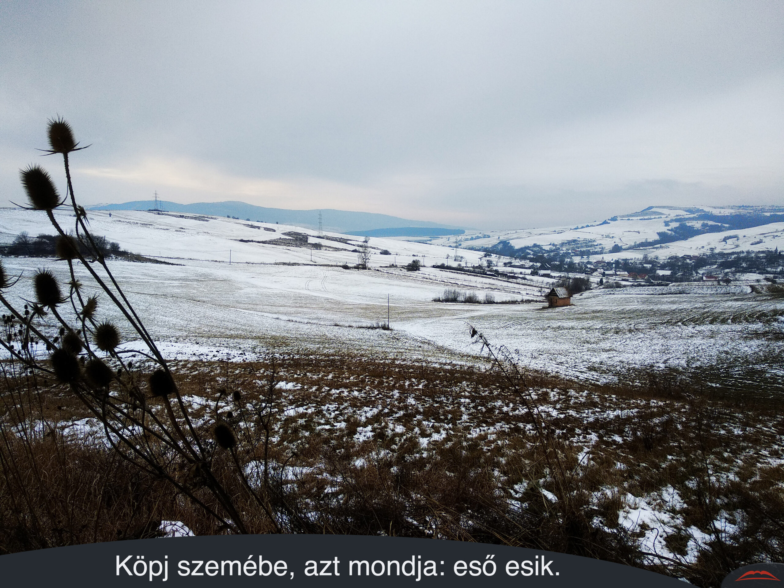 Köpj szemébe, azt mondja eső esik.