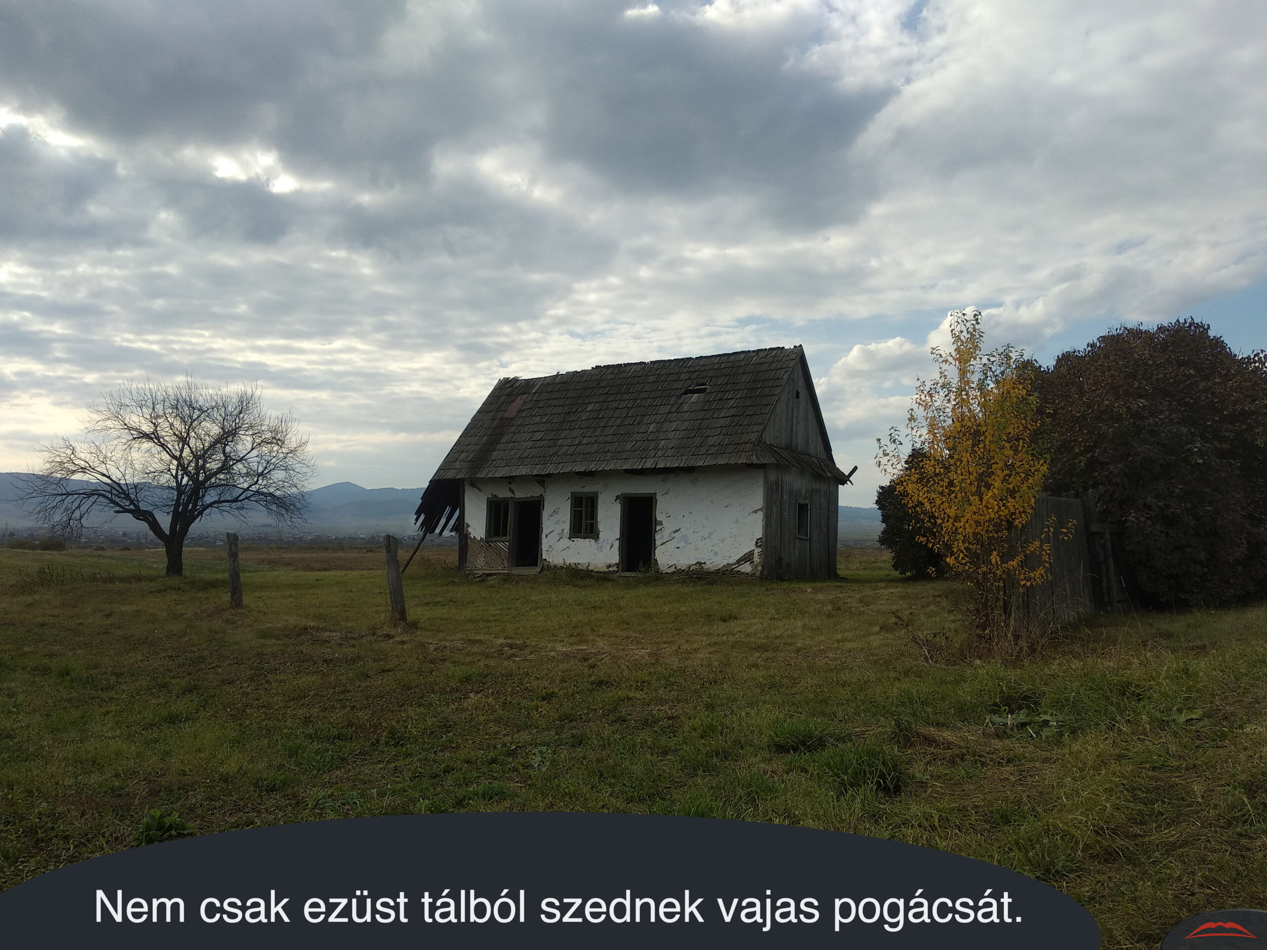 Nem csak ezüst tálból szednek vajas pogácsát.