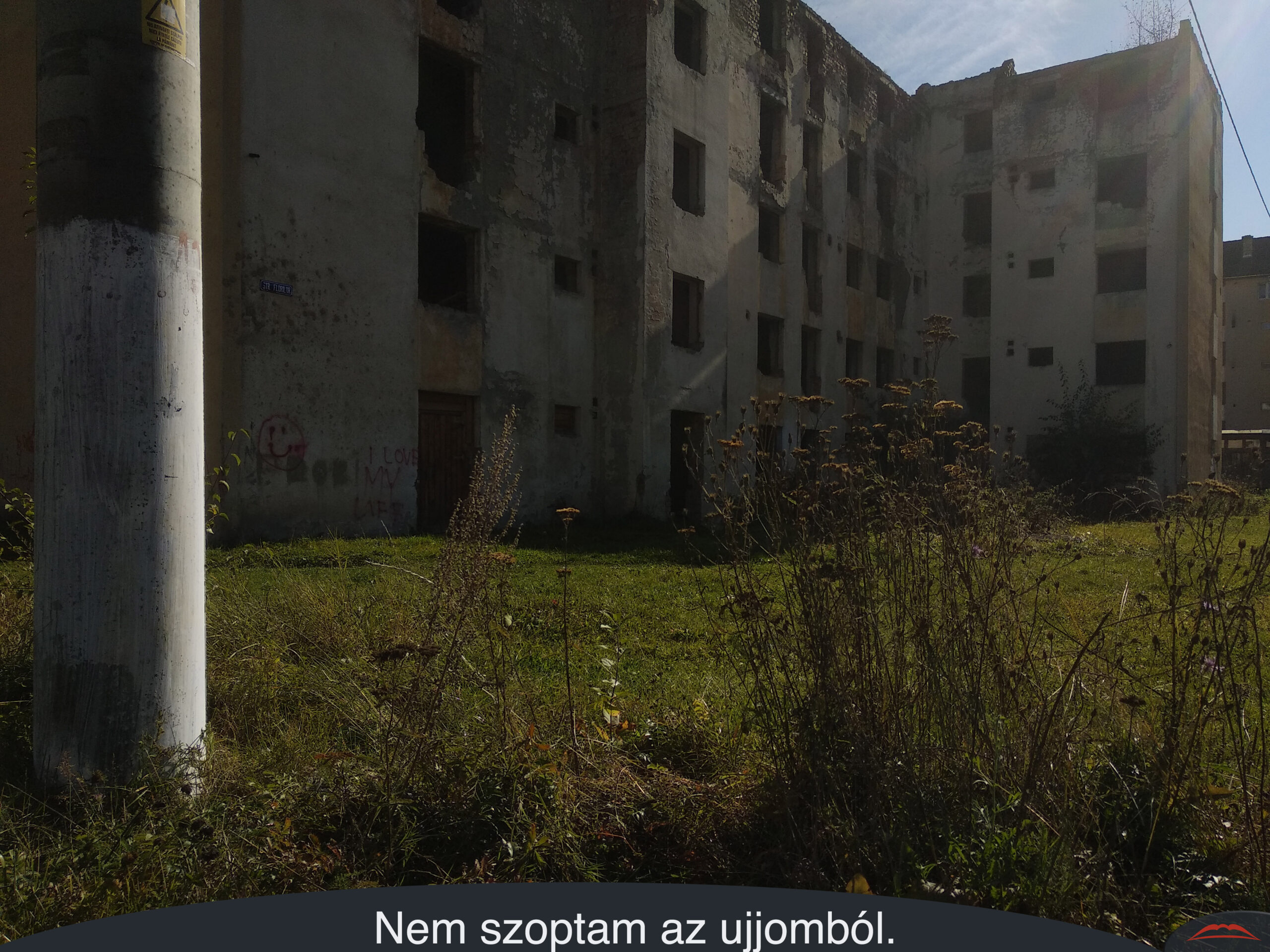 Nem szoptam az ujjomból.