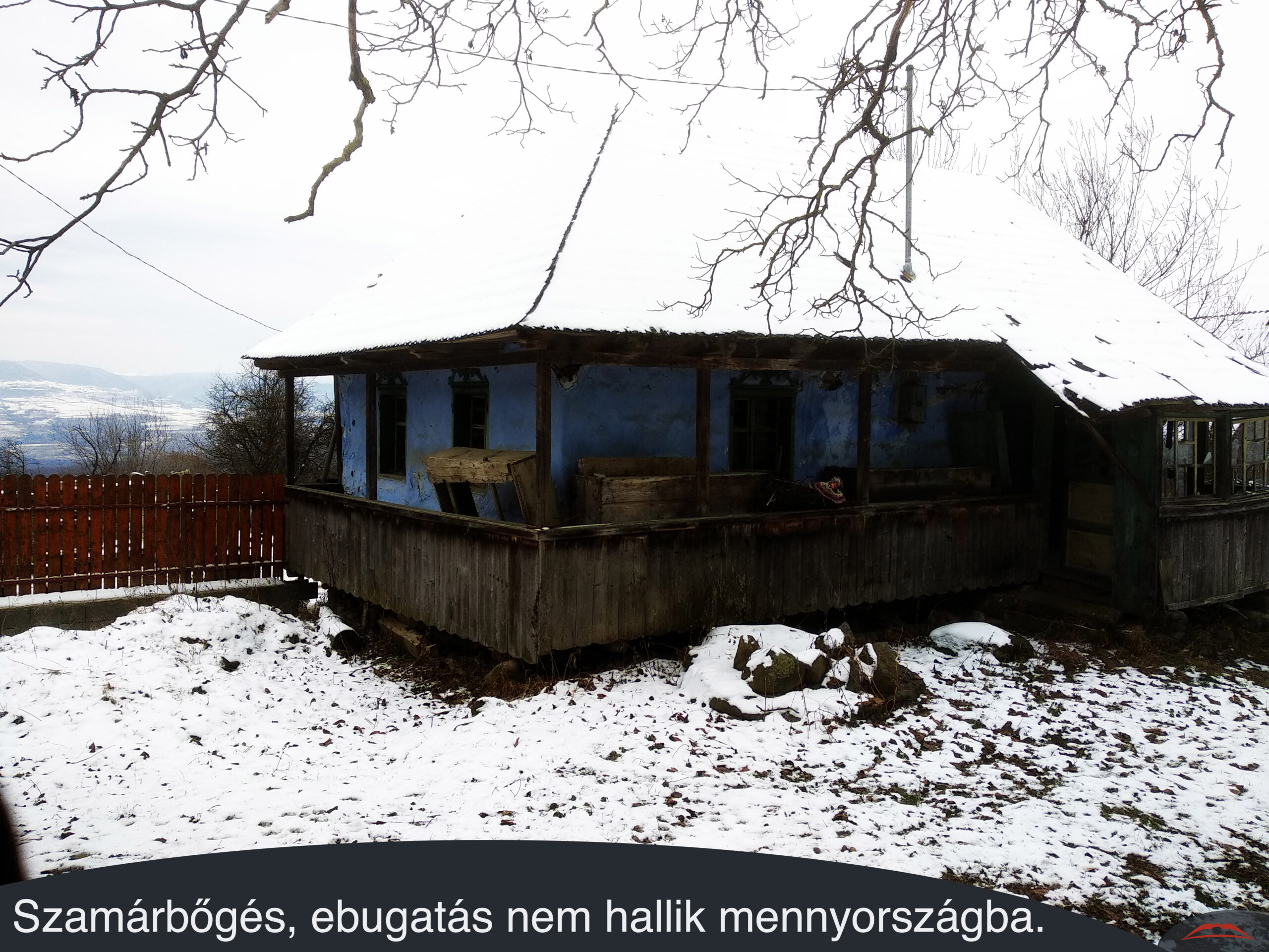 Szamárbőgés, ebugatás nem hallik mennyországba.