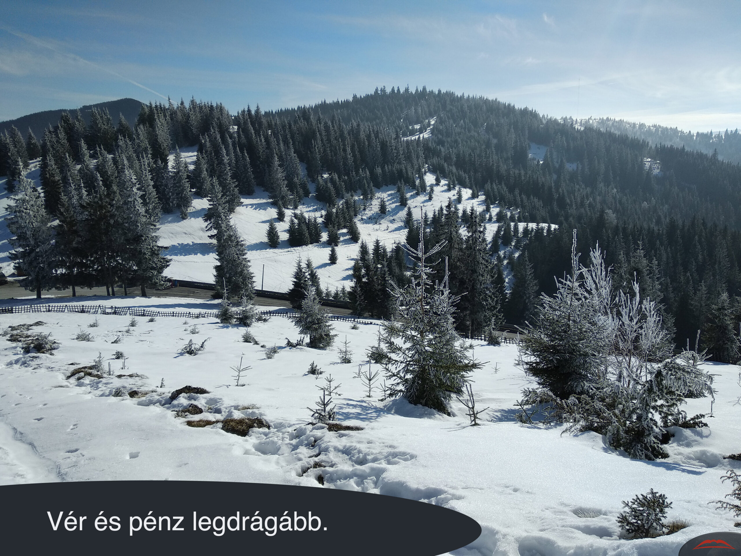 Vér és pénz legdrágább.