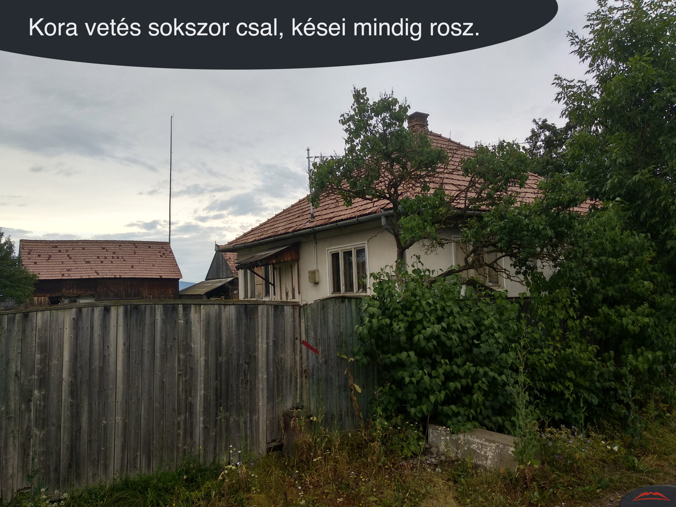 Kora vetés sokszor csal, kései mindig rosz.