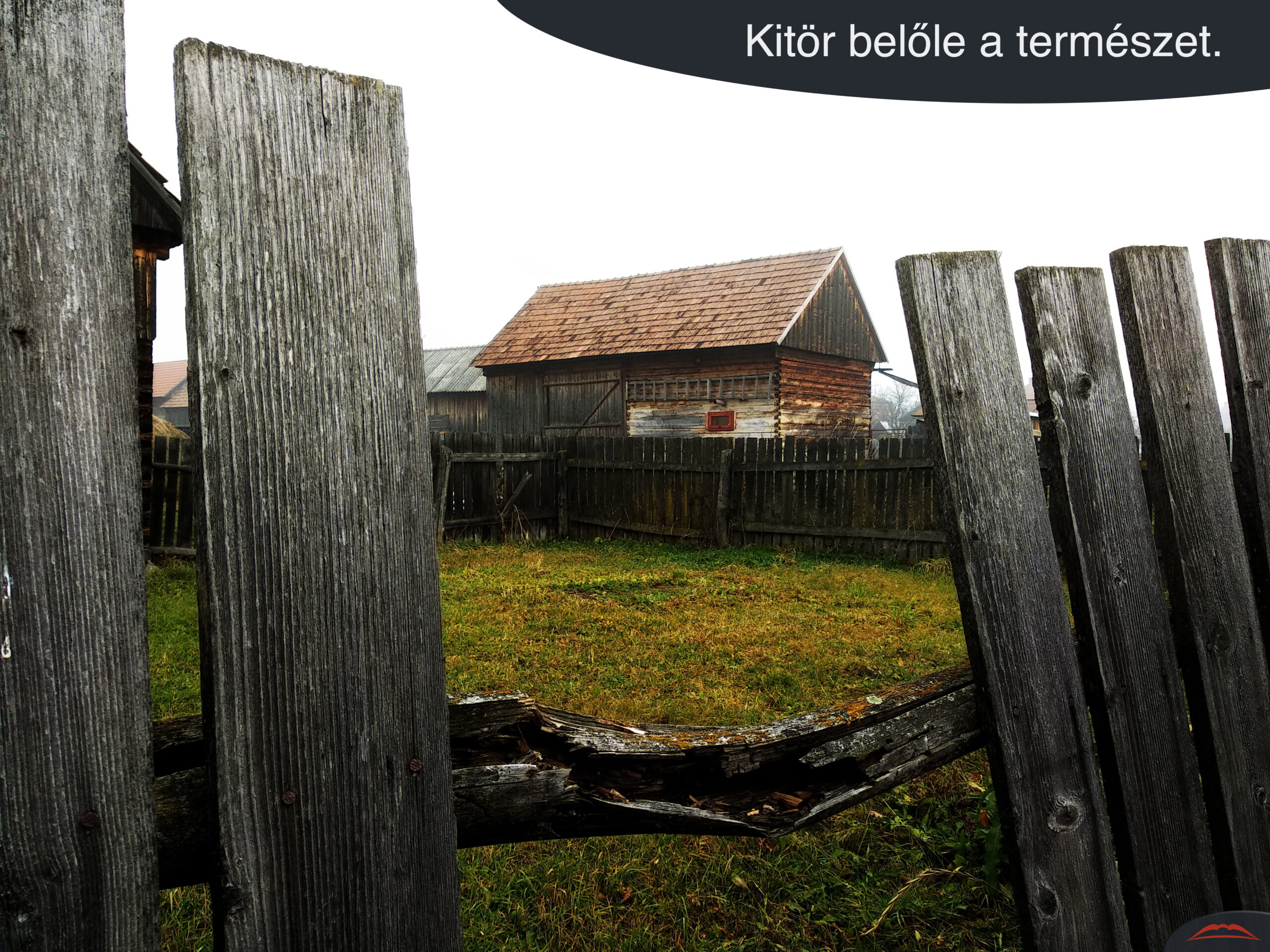 Kitör belőle a természet.