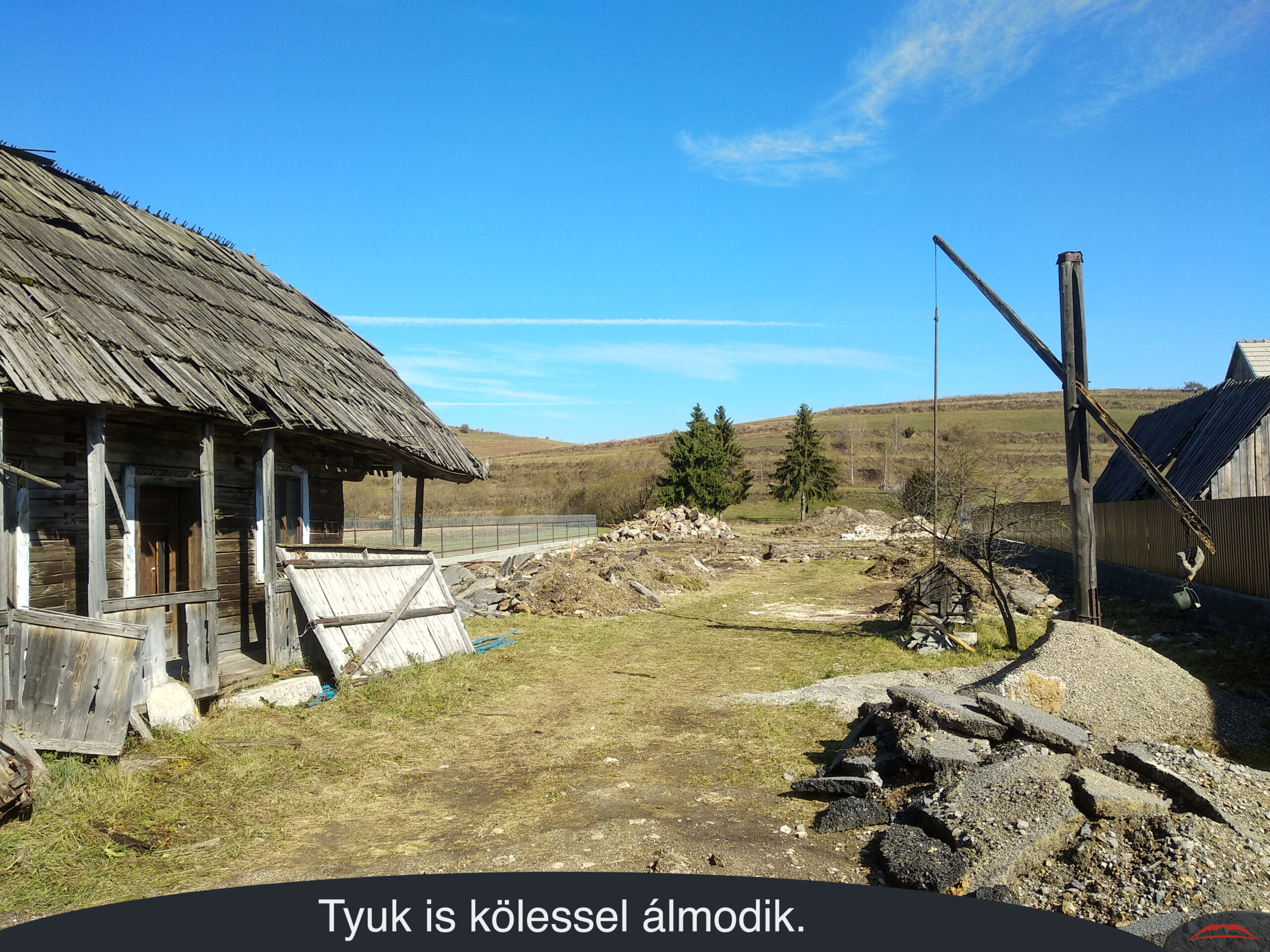 Tyuk is kölessel álmodik.