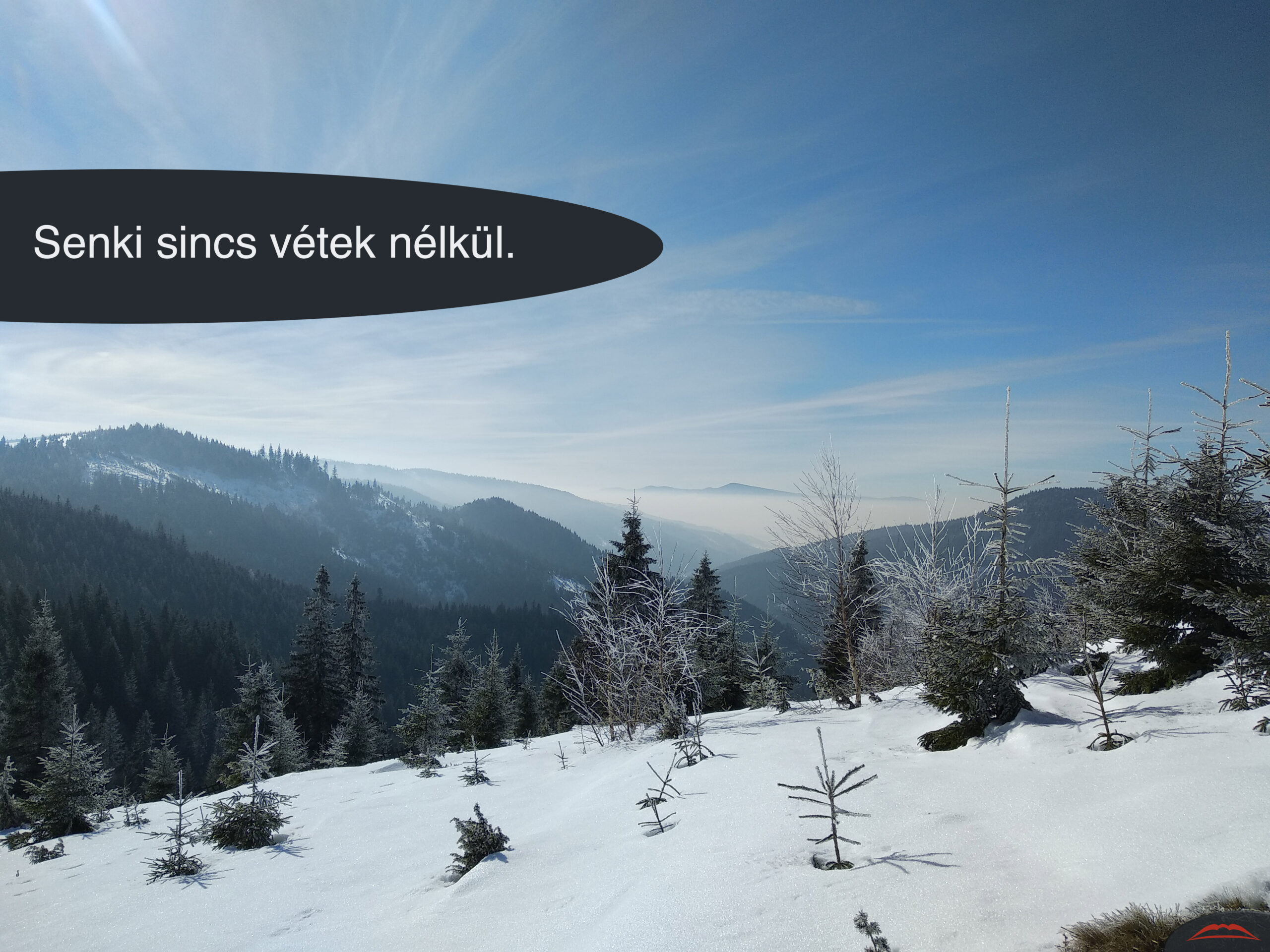 Senki sincs vétek nélkül.