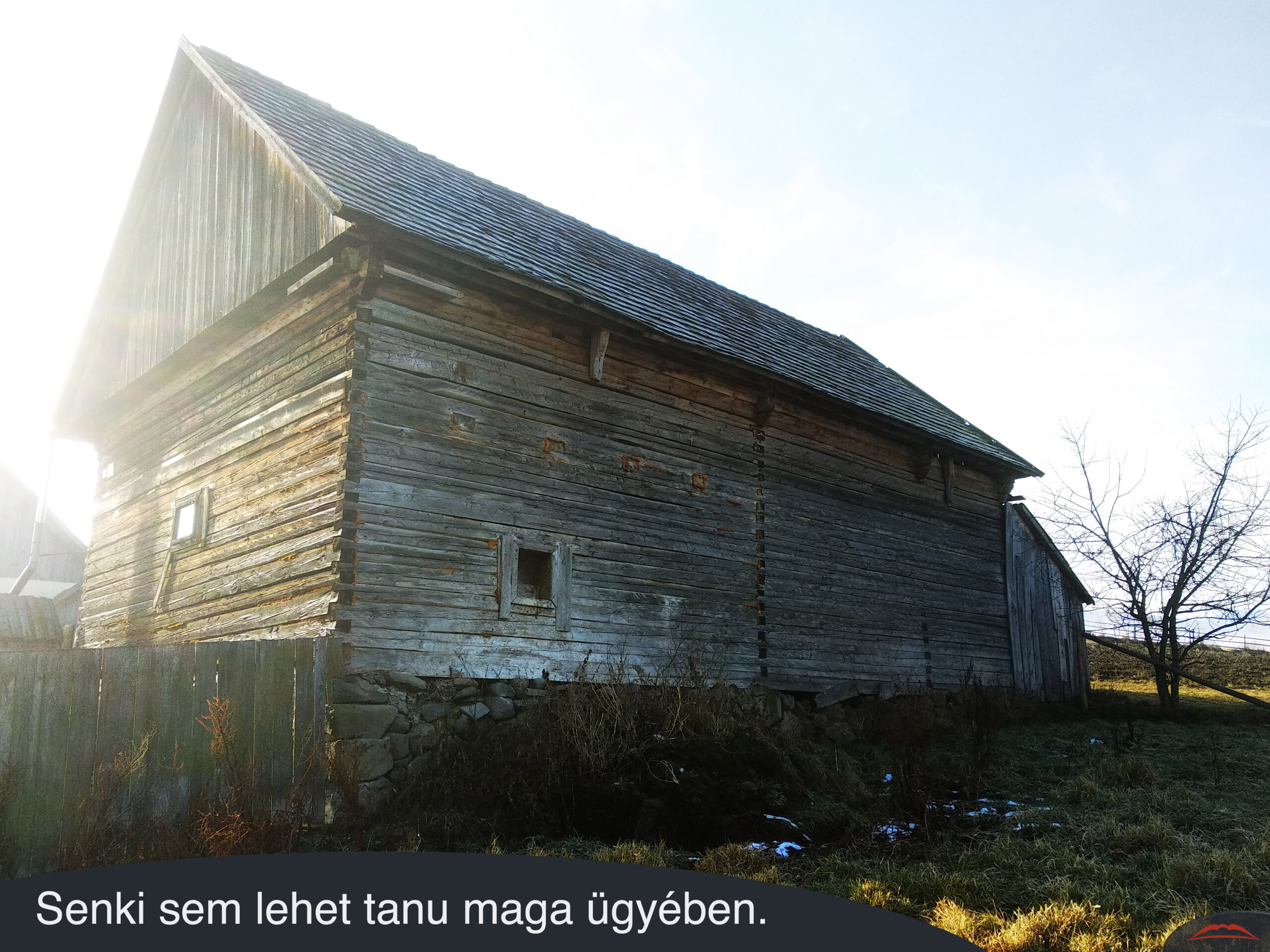 Senki sem lehet tanu maga ügyében.