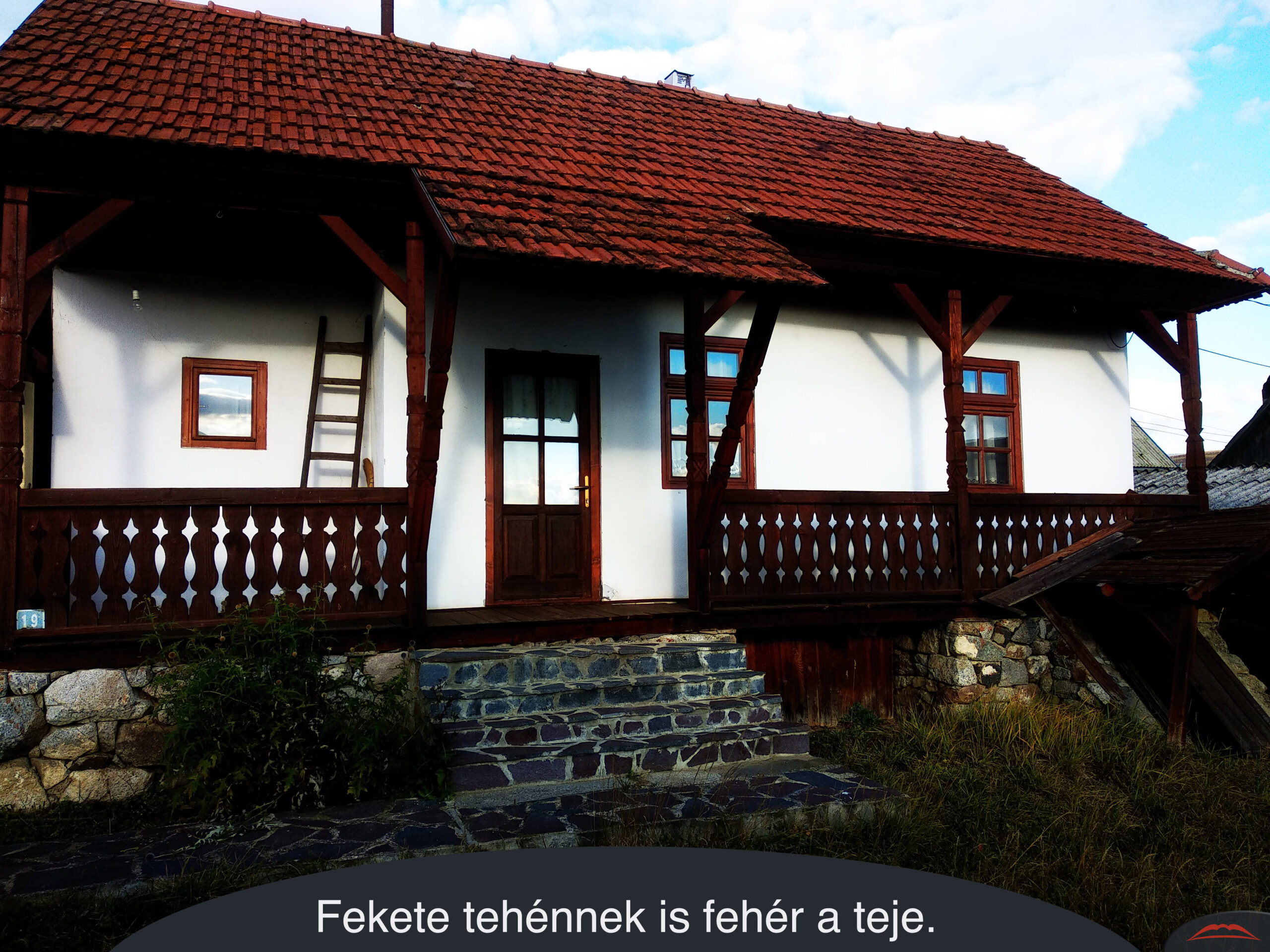 Fekete tehénnek is fehér a teje.