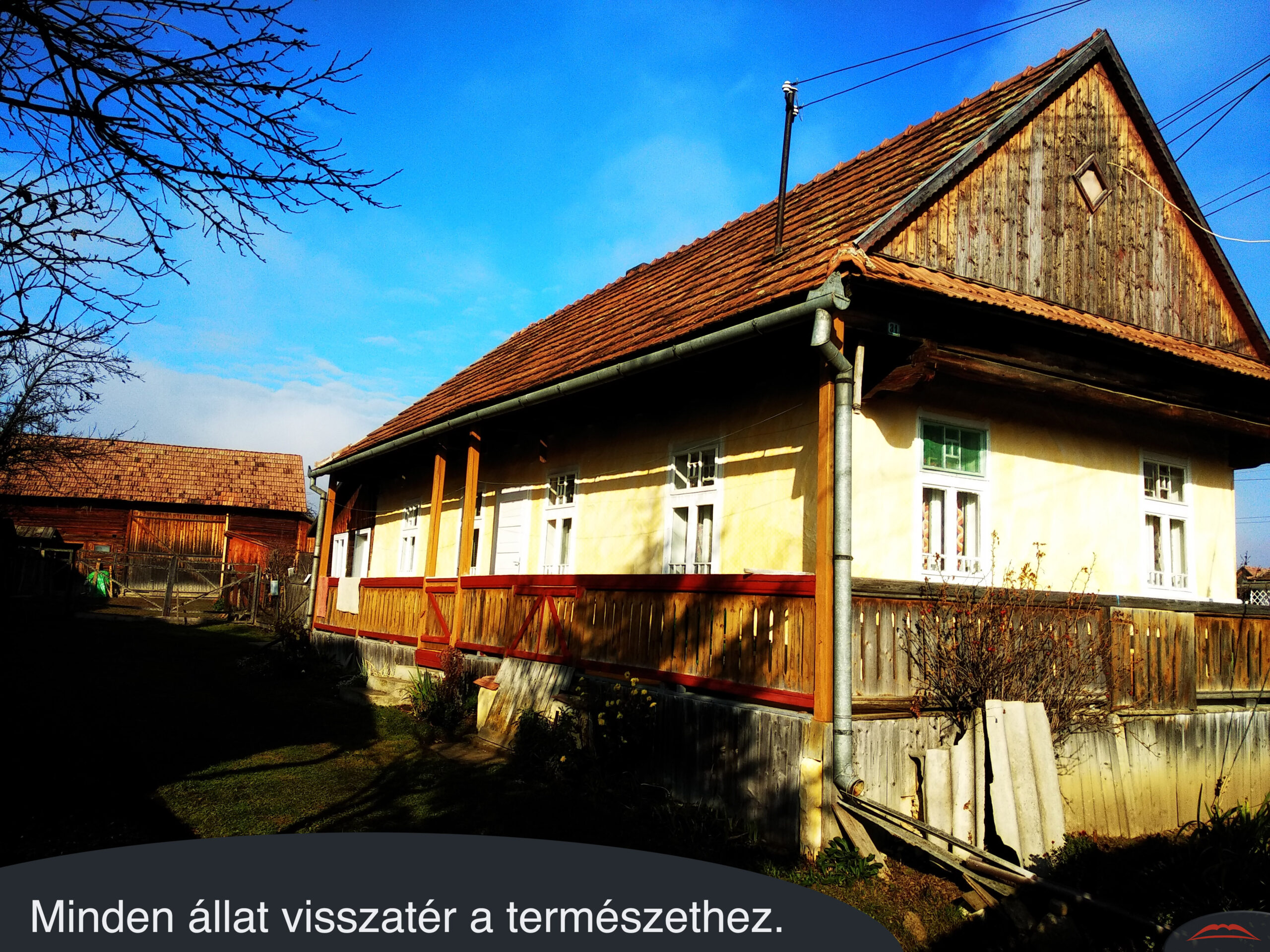 Minden állat visszatér a természethez.