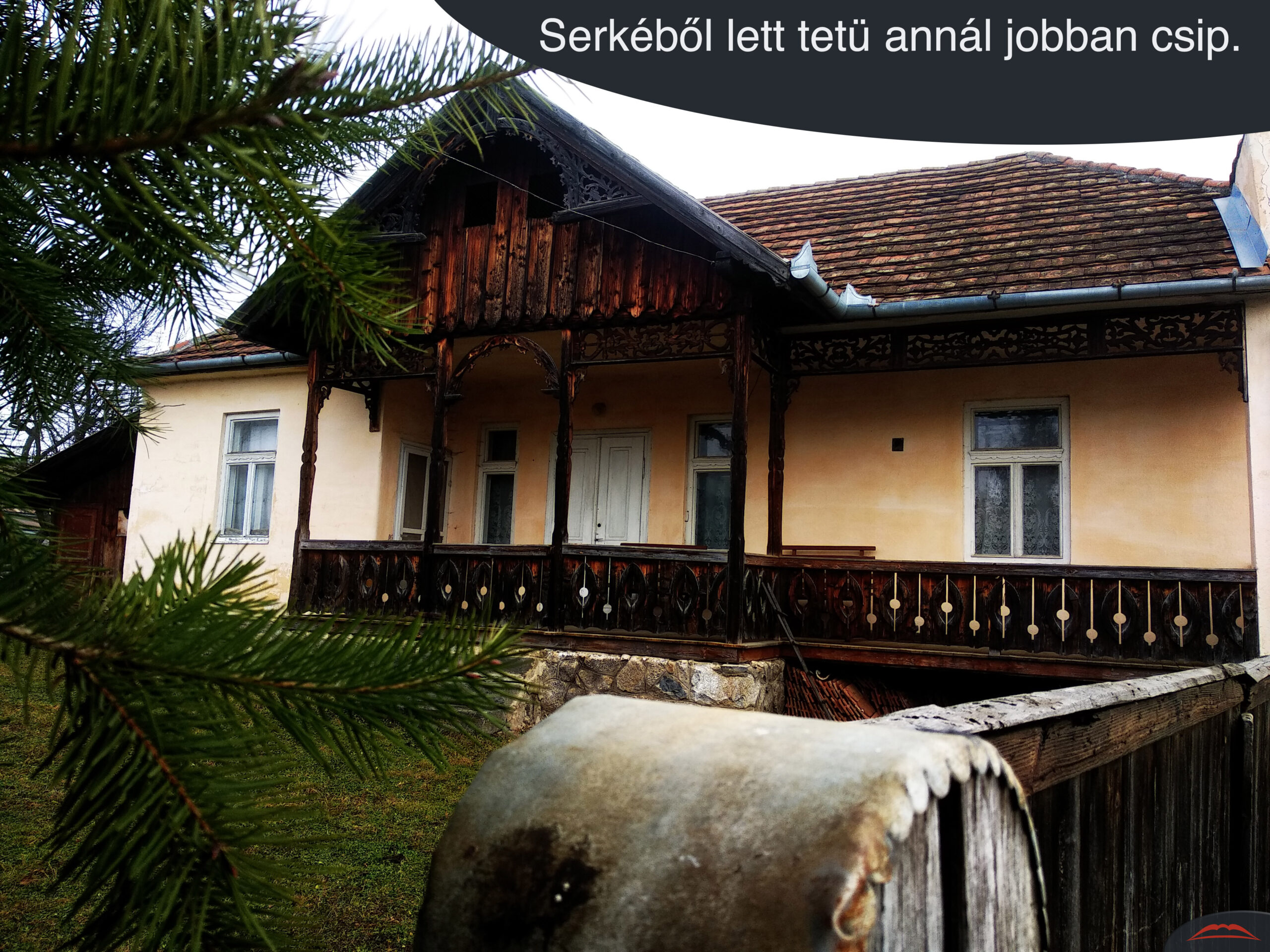 Serkéből lett tetü annál jobban csip.