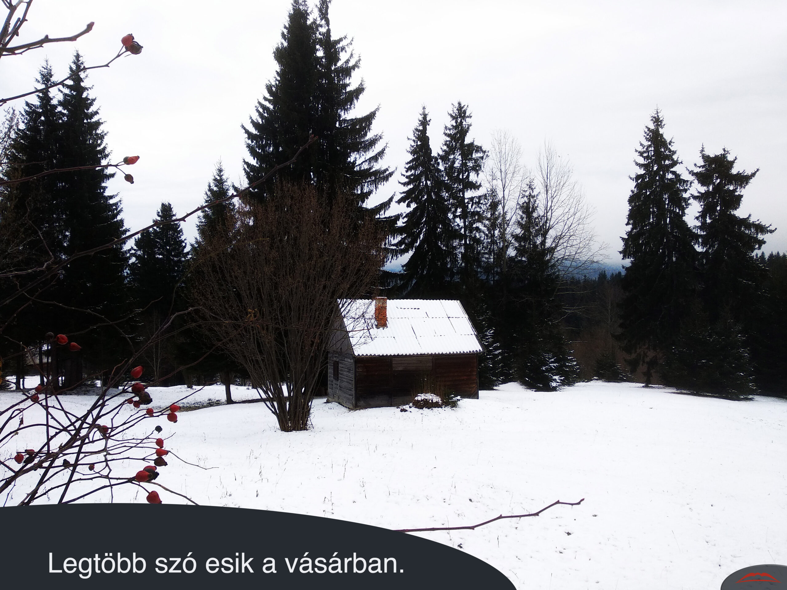 Legtöbb szó esik a vásárban.